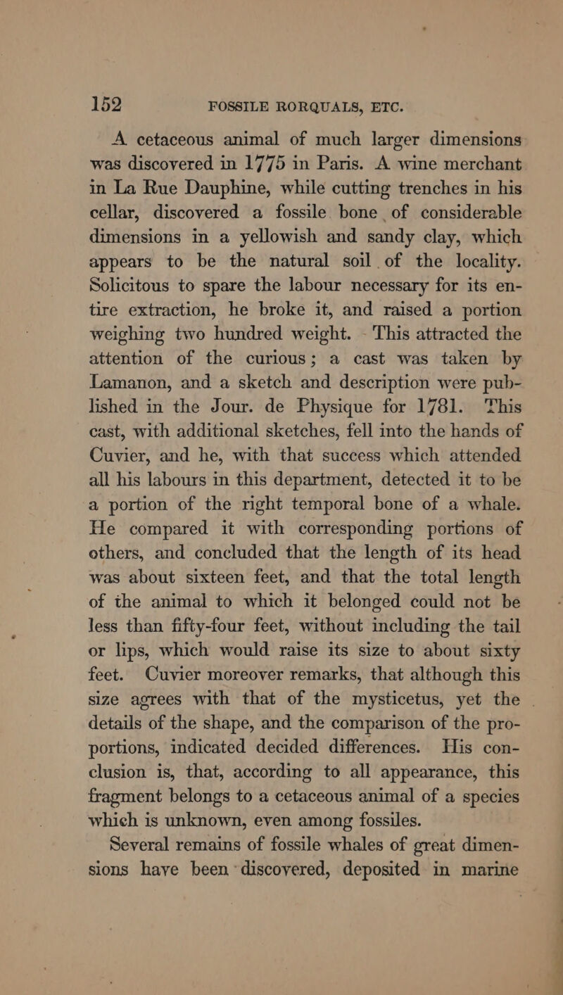 A cetaceous animal of much larger dimensions was discovered in 1775 in Paris. A wine merchant in La Rue Dauphine, while cutting trenches in his cellar, discovered a fossile bone of considerable dimensions in a yellowish and sandy clay, which appears to be the natural soil of the locality. Solicitous to spare the labour necessary for its en- tire extraction, he broke it, and raised a portion weighing two hundred weight. - This attracted the attention of the curious; a cast was taken by Lamanon, and a sketch and description were pub- lished in the Jour. de Physique for 1781. This cast, with additional sketches, fell into the hands of Cuvier, and he, with that success which attended all his labours in this department, detected it to be a portion of the right temporal bone of a whale. He compared it with corresponding portions of others, and concluded that the length of its head was about sixteen feet, and that the total length of the animal to which it belonged could not be less than fifty-four feet, without including the tail or lips, which would raise its size to about sixty feet. Cuvier moreover remarks, that although this details of the shape, and the comparison of the pro- portions, indicated decided differences. His con- clusion is, that, according to all appearance, this fragment belongs to a cetaceous animal of a species which is unknown, even among fossiles. Several remains of fossile whales of great dimen- sions have been ‘discovered, deposited in marine a