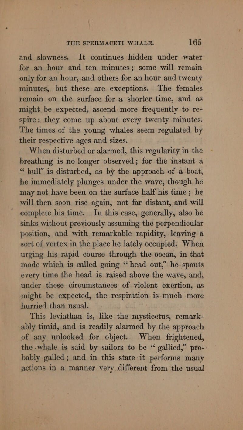 and slowness. It continues hidden under water for an hour and ten minutes; some will remain only for an hour, and others for an hour and twenty minutes, but these are exceptions. The females remain on the surface for a shorter time, and as might be expected, ascend more frequently to re- spire: they come up about every twenty minutes. The times of the young whales seem regulated by their respective ages and sizes. When disturbed or alarmed, this regularity in the breathing is no longer observed ; for the instant a “ bull’ is disturbed, as by the approach of a boat, he immediately plunges under the wave, though he may not have been on the surface half his time ; he will then soon rise again, not far distant, and will complete his time. In this case, generally, also he sinks without previously assuming the perpendicular position, and with remarkable rapidity, leaving a sort of vortex in the place he lately occupied: When urging his rapid course through the ocean, in that mode which is called going “ head out,” he spouts every time the head is raised above the wave, and, under these circumstances of violent exertion, as might be expected, the respiration is much more hurried than usual. This leviathan is, like the mysticetus, remark- ably timid, and is readily alarmed by the approach of any unlooked for object. When frightened, the -whale is said by sailors to be “ gallied,” pro-- bably galled; and in this state it performs many actions in a manner very different from the usual