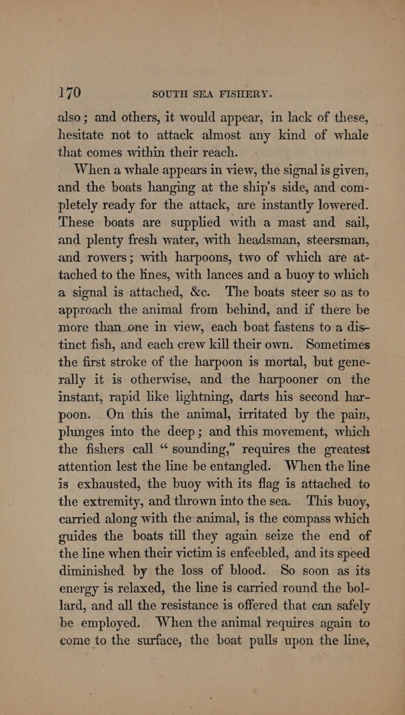 also; and others, it would appear, in lack of these, hesitate not to attack almost any kind of whale that comes within their reach. When a whale appears in view, the signal is given, and the boats hanging at the ship’s side, and com- pletely ready for the attack, are instantly lowered. These boats are supplied with a mast and sail, and plenty fresh water, with headsman, steersman, and rowers; with harpoons, two of which are at- tached to the lines, with lances and a buoy to which a signal is attached, &c. The boats steer so as to approach the animal from behind, and if there be more than one in view, each boat fastens to a dis- tinct fish, and each crew kill their own. Sometimes the first stroke of the harpoon is mortal, but gene- rally it is otherwise, and the harpooner on the instant, rapid like lightning, darts his second har- poon. _ On this the animal, irritated by the pain, plunges into the deep; and this movement, which the fishers call “ sounding,” requires the greatest attention lest the line be entangled. When the line is exhausted, the buoy with its flag is attached to the extremity, and thrown into the sea. This buoy, carried along with the animal, is the compass which guides the boats till they again seize the end of the line when their victim is enfeebled, and its speed diminished by the loss of blood. So soon as its energy is relaxed, the line is carried round the bol- lard, and all the resistance is offered that can safely be employed. When the animal requires again to come to the surface, the boat pulls upon the line,
