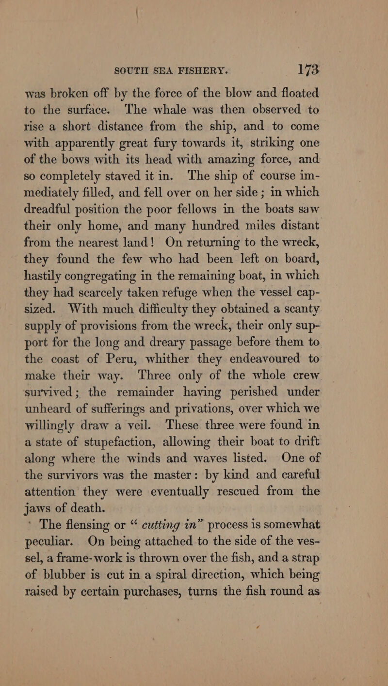 was broken off by the force of the blow and floated to the surface. The whale was then observed to rise a short distance from the ship, and to come with apparently great fury towards it, striking one of the bows with its head with amazing force, and. so completely staved it in. The ship of course im- mediately filled, and fell over on her side ; in which dreadful position the poor fellows in the boats saw their only home, and many hundred miles distant from the nearest land! On returning to the wreck, they found the few who had been left on board, hastily congregating in the remaining boat, in which they had scarcely taken refuge when the vessel cap- sized. With much difficulty they obtained a scanty supply of provisions from the wreck, their only sup- port for the long and dreary passage before them to the coast of Peru, whither they endeavoured to make their way. Three only of the whole crew survived; the remainder haying perished under unheard of sufferings and privations, over which we willingly draw a veil. These three were found in a state of stupefaction, allowing their boat to drift along where the winds and waves listed. One of the survivors was the master: by kind and careful attention they were eventually rescued from the jaws of death. ‘ The flensing or “‘ cutting in” process is somewhat peculiar. On being attached to the side of the ves- sel, a frame-work is thrown over the fish, and a strap of blubber is cut in a spiral direction, which being raised by certain purchases, turns the fish round as