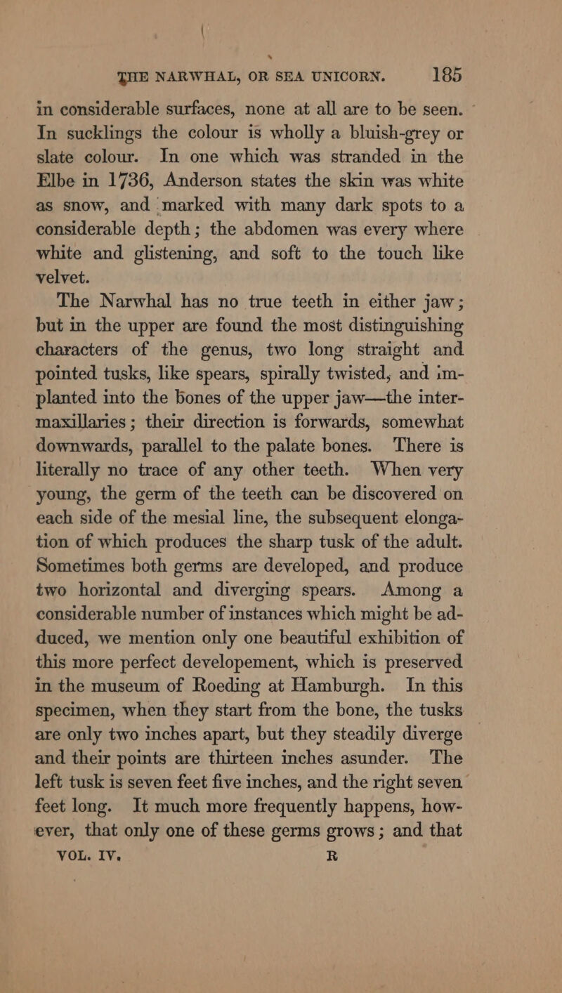 in considerable surfaces, none at all are to be seen. ~ In sucklings the colour is wholly a bluish-grey or slate colour. In one which was stranded in the Elbe in 1736, Anderson states the skin was white as snow, and marked with many dark spots to a considerable depth; the abdomen was every where white and glistening, and soft to the touch like velvet. The Narwhal has no true teeth in either jaw; but in the upper are found the most distinguishing characters of the genus, two long straight and pointed tusks, like spears, spirally twisted, and im- planted into the bones of the upper jaw—the inter- maxillaries ; their direction is forwards, somewhat downwards, parallel to the palate bones. There is literally no trace of any other teeth. When very young, the germ of the teeth can be discovered on each side of the mesial line, the subsequent elonga- tion of which produces the sharp tusk of the adult. Sometimes both germs are developed, and produce two horizontal and diverging spears. Among a considerable number of instances which might be ad- duced, we mention only one beautiful exhibition of this more perfect developement, which is preserved in the museum of Roeding at Hamburgh. In this specimen, when they start from the bone, the tusks are only two inches apart, but they steadily diverge — and their points are thirteen inches asunder. The left tusk is seven feet five inches, and the right seven feet long. It much more frequently happens, how- ever, that only one of these germs grows ; and that VOL. IV. R