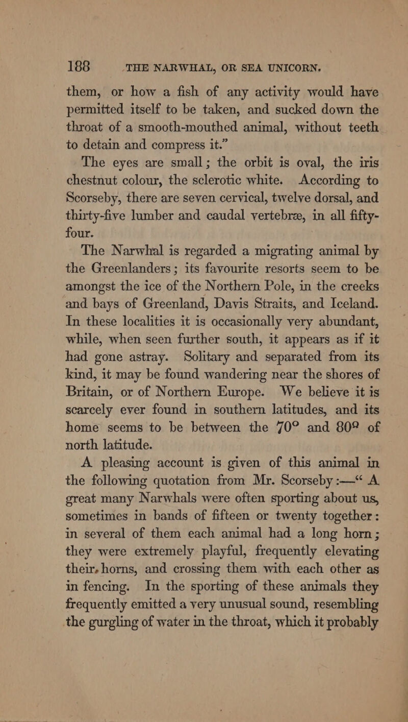 them, or how a fish of any activity would have permitted itself to be taken, and sucked down the throat of a smooth-mouthed animal, without teeth to detain and compress it.” The eyes are small; the orbit is oval, the iris chestnut colour, the sclerotic white. According to Scorseby, there are seven cervical, twelve dorsal, and thirty-five lumber and caudal vertebree, in all fifty- four. The Narwhal is regarded a migrating animal by the Greenlanders; its favourite resorts seem to be amongst the ice of the Northern Pole, in the creeks and bays of Greenland, Davis Straits, and Iceland. In these localities it is occasionally very abundant, while, when seen further south, it appears as if it had gone astray. Solitary and separated from its kind, it may be found wandering near the shores of Britain, or of Northern Europe. We believe it is scarcely ever found in southern latitudes, and its home seems to be between the 70° and 80° of north latitude. A pleasing account is given of this animal in the following quotation from Mr. Scorseby :—“ A great many Narwhals were often sporting about us, sometimes in bands of fifteen or twenty together: in several of them each animal had a long horn; they were extremely playful, frequently elevating their. horns, and crossing them with each other as in fencing. In the sporting of these animals they frequently emitted a very unusual sound, resembling the gurgling of water in the throat, which it probably