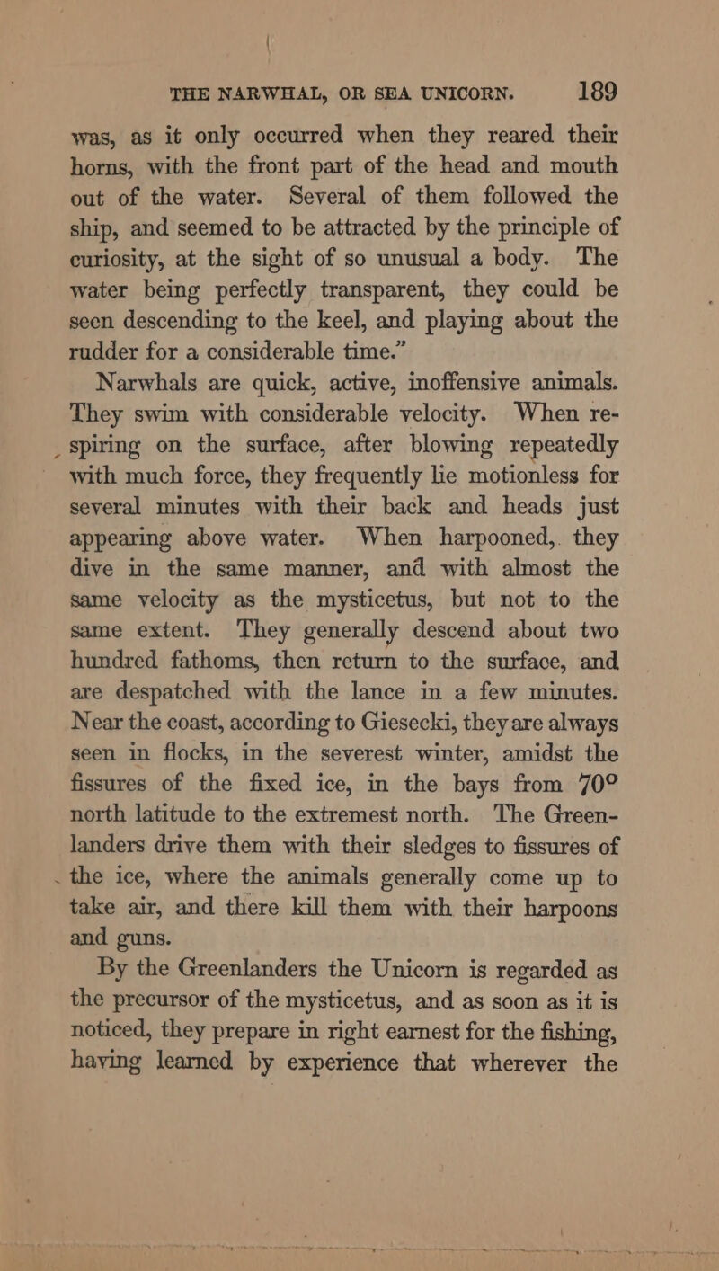 was, as it only occurred when they reared their horns, with the front part of the head and mouth out of the water. Several of them followed the ship, and seemed to be attracted by the principle of curiosity, at the sight of so unusual a body. The water being perfectly transparent, they could be seen descending to the keel, and playing about the rudder for a considerable time.” Narwhals are quick, active, inoffensive animals. They swim with considerable velocity. When re- _Spirmg on the surface, after blowing repeatedly with much force, they frequently lie motionless for several minutes with their back and heads just appearing above water. When harpooned,. they dive in the same manner, and with almost the same velocity as the mysticetus, but not to the same extent. They generally descend about two hundred fathoms, then return to the surface, and are despatched with the lance in a few minutes. Near the coast, according to Giesecki, they are always seen in flocks, in the severest winter, amidst the fissures of the fixed ice, in the bays from 70° north latitude to the extremest north. The Green- landers drive them with their sledges to fissures of . the ice, where the animals generally come up to take air, and there kill them with their harpoons and guns. By the Greenlanders the Unicorn is regarded as the precursor of the mysticetus, and as soon as it is noticed, they prepare in right earnest for the fishing, haying learned by experience that wherever the