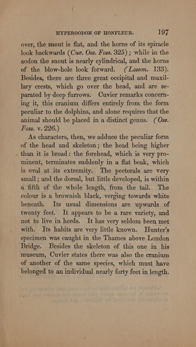 over, the snout is flat, and the horns of its spiracle look backwards (Cue. Oss. Foss. 325) ; while in the aodon the snout is nearly cylindrical, and the horns of the blow-hole look forward. (Lesson. 133). Besides, there are three great occipital and maxil- lary crests, which go over the head, and are se- parated by deep furrows. Cuvier remarks concern- ing it, this cranium differs entirely from the form peculiar to the dolphins, and alone requires that the animal should be placed in a distinct genus. (Oss. Foss. v. 226.) As characters, then, we adduce the peculiar form of the head and skeleton; the head being higher . than it is broad: the forehead, which is very pro- minent, terminates suddenly in a flat beak, which is oyal at its extremity. The pectorals are very- small ; and the dorsal, but little developed, is within a fifth of the whole length, from the tail. The colour is a brownish black, verging towards white beneath. Its usual dimensions are upwards of twenty feet. It appears to be a rare variety, and not to live in herds. It has very seldom been met with. Its habits are very little known. Hunter’s specimen was caught in the Thames above London Bridge. Besides the skeleton of this one in his museum, Ouvier states there was also the cranium of another of the same species, which must have belonged to an individual nearly forty feet in length.