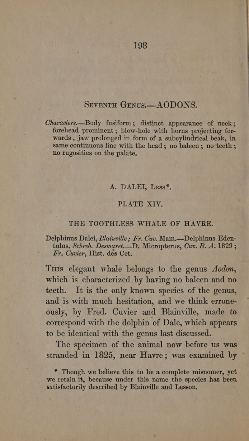 Sevento Genus.—AODONS. Characters.—Body fusiform; distinct appearance of neck; forehead prominent ; blow-hole with horns projecting for- - wards , jaw prolonged in form of a subcylindrical beak, in same continuous line with the head; no baleen ; no teeth ; no rugosities on the palate. A. DALEI, Lzss*. PLATE XIV. THE TOOTHLESS WHALE OF HAVRE. Delphinus Dalei, Blainville ; Fr. Cuv. Mam.—Delphinus Eden- tulus, Schreb. Desmaret.—D. Micropterus, Cuv. R. A. 1829 ; Fr. Cuvier, Hist. des Cet. Tuis elegant whale belongs to the genus dodon, which is characterized by having no baleen and no teeth. It is the only known species of the genus, and is with much hesitation, and we think errone- ously, by Fred. Cuvier and Blainville, made to correspond with the dolphin of Dale, which appears to be identical with the genus last discussed. The specimen of the animal now before us was stranded in 1825, near Havre; was examined by ~ * Though we believe this to be a complete misnomer, yet we retain it, because under this name the species has been satisfactorily described by Blainville and Lesson.