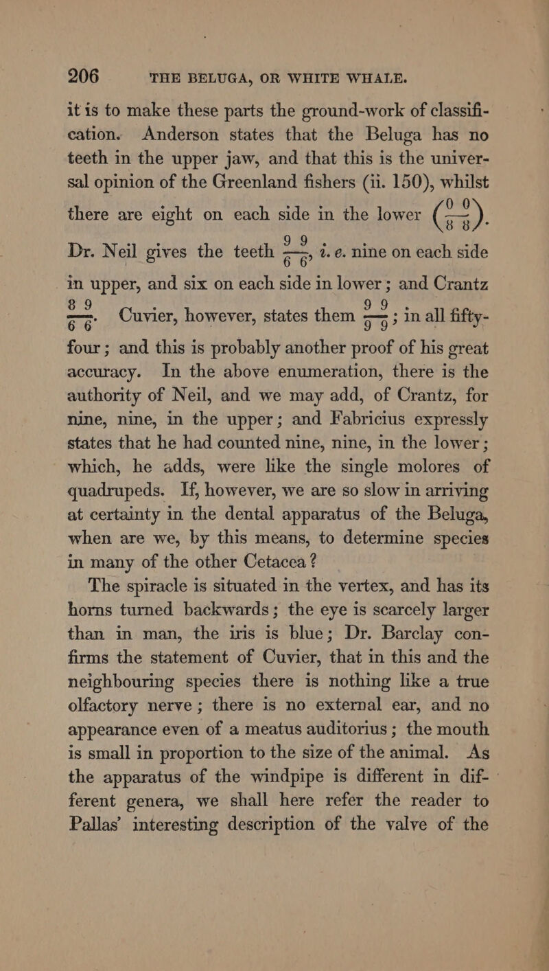 it is to make these parts the ground-work of classifi- cation. Anderson states that the Beluga has no teeth in the upper jaw, and that this is the univer- sal opinion of the Greenland fishers (ii. 150), whilst there are eight on each side in the lower (F). 5s ike 9 Ok : : Dr. Neil gives the teeth ap 2. @. nine on each side in upper, and six on each side in lower ; and Crantz 8 9 ° EMS sg Cuvier, however, states them &gt;; ; in all fifty- four ; and this is probably another proof of his great accuracy. In the above enumeration, there is the authority of Neil, and we may add, of Crantz, for nine, nine, in the upper; and Fabricius expressly states that he had counted nine, nine, in the lower; which, he adds, were like the single molores of quadrupeds. If, however, we are so slow in arriving at certainty in the dental apparatus of the Beluga, when are we, by this means, to determine species in many of the other Cetacea ? The spiracle is situated in the vertex, and has its horns turned backwards; the eye is scarcely larger than in man, the iris is blue; Dr. Barclay con- firms the statement of Cuvier, that in this and the neighbouring species there is nothing like a true olfactory nerve ; there is no external ear, and no appearance even of a meatus auditorius ; the mouth is small in proportion to the size of the animal. As the apparatus of the windpipe is different in dif- ferent genera, we shall here refer the reader to Pallas’ interesting description of the valve of the