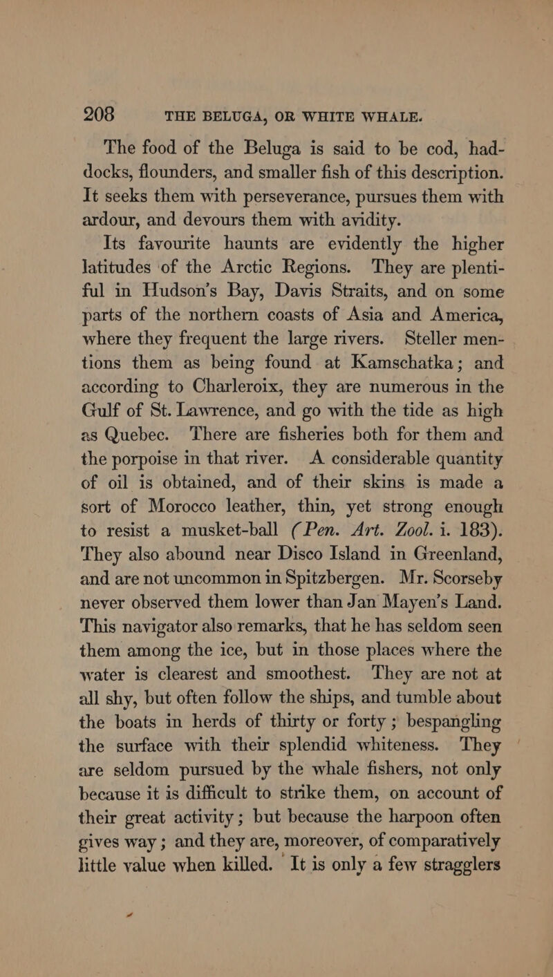 The food of the Beluga is said to be cod, had- docks, flounders, and smaller fish of this description. It seeks them with perseverance, pursues them with ardour, and devours them with avidity. Its favourite haunts are evidently the higher latitudes of the Arctic Regions. They are plenti- ful in Hudson’s Bay, Davis Straits, and on some parts of the northern coasts of Asia and America, where they frequent the large rivers. Steller men- tions them as being found at Kamschatka; and according to Charleroix, they are numerous in the Gulf of St. Lawrence, and go with the tide as high as Quebec. There are fisheries both for them and the porpoise in that river. A considerable quantity of oil is obtained, and of their skins is made a sort of Morocco leather, thin, yet strong enough to resist a musket-ball (Pen. Art. Zool. i. 183). They also abound near Disco Island in Greenland, and are not uncommon in Spitzbergen. Mr. Scorseby never observed them lower than Jan Mayen’s Land. This navigator also remarks, that he has seldom seen them among the ice, but in those places where the water is clearest and smoothest. ‘They are not at all shy, but often follow the ships, and tumble about the boats in herds of thirty or forty ; bespangling the surface with their splendid whiteness. They | are seldom pursued by the whale fishers, not only because it is difficult to strike them, on account of their great activity; but because the harpoon often gives way; and they are, moreover, of comparatively little value when killed. It is only a few stragglers