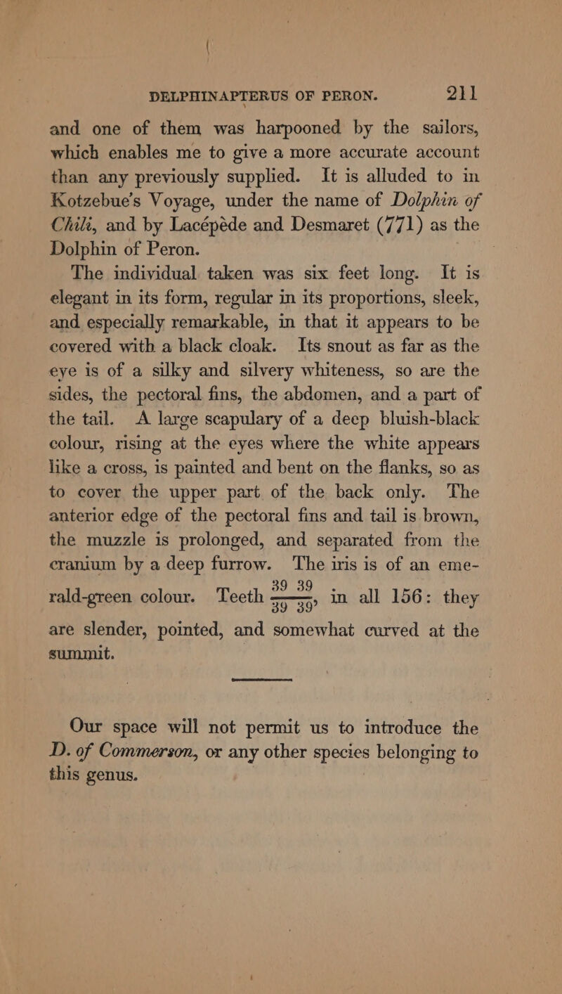 and one of them was harpooned by the sailors, which enables me to give a more accurate account than any previously supplied. It is alluded to in Kotzebue’s Voyage, under the name of Dolphin of Chili, and by Lacépéde and Desmaret (771) as the Dolphin of Peron. | The individual taken was six feet long. It is elegant in its form, regular in its proportions, sleek, and especially remarkable, in that it appears to be covered with a black cloak. Its snout as far as the eye is of a silky and silvery whiteness, so are the sides, the pectoral fins, the abdomen, and a part of the tail. A large scapulary of a deep bluish-black colour, rising at the eyes where the white appears like a cross, is painted and bent on the flanks, so as to cover the upper part of the back only. The anterior edge of the pectoral fins and tail is brown, the muzzle is prolonged, and separated from the cranium by a deep Cee, anne iris is of an eme- =&gt;, in all 156: they are slender, pointed, and somewhat curved at the summit. rald-green colour. Teeth = oes Our space will not permit us to introduce the D. of Commerson, or any other species belonging to this genus.