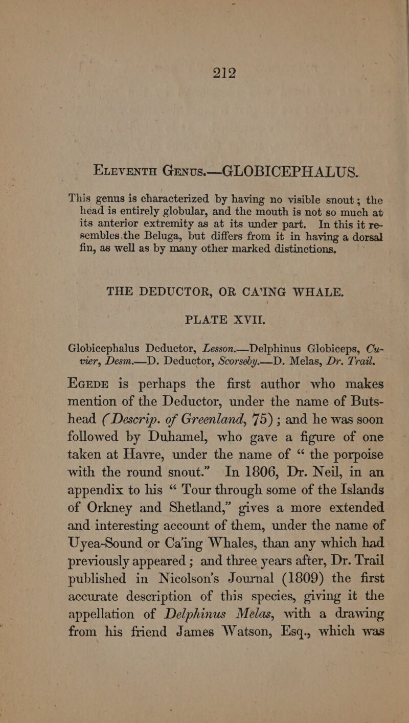 ELeventa Grenvs.—GLOBICEPHALUS. This genus is characterized by having no visible snout; the head is entirely globular, and the mouth is not so much at its anterior extremity as at its under part. In this it re- sembles,the Beluga, but differs from it in having a dorsal fin, as well as by many other marked distinctions, THE DEDUCTOR, OR CA’ING WHALE. PLATE XVII. Globicephalus Deductor, Lesson.—Delphinus Globiceps, Cu- vier, Desm.—D. Deductor, Scorseby._D. Melas, Dr. Trail. EcEpE is perhaps the first author who makes mention of the Deductor, under the name of Buts- head (Descrip. of Greenland, 75) ; and he was soon followed by Duhamel, who gave a figure of one taken at Havre, under the name of “ the porpoise with the round snout.” In 1806, Dr. Neil, in an appendix to his “ Tour through some of the Islands of Orkney and Shetland,” gives a more extended and interesting account of them, under the name of Uyea-Sound or Ca’ing Whales, than any which had previously appeared ; and three years after, Dr. Trail published in Nicolson’s Journal (1809) the first accurate description of this species, giving it the appellation of Delphinus Melas, with a drawing from his friend James Watson, Esq., which was