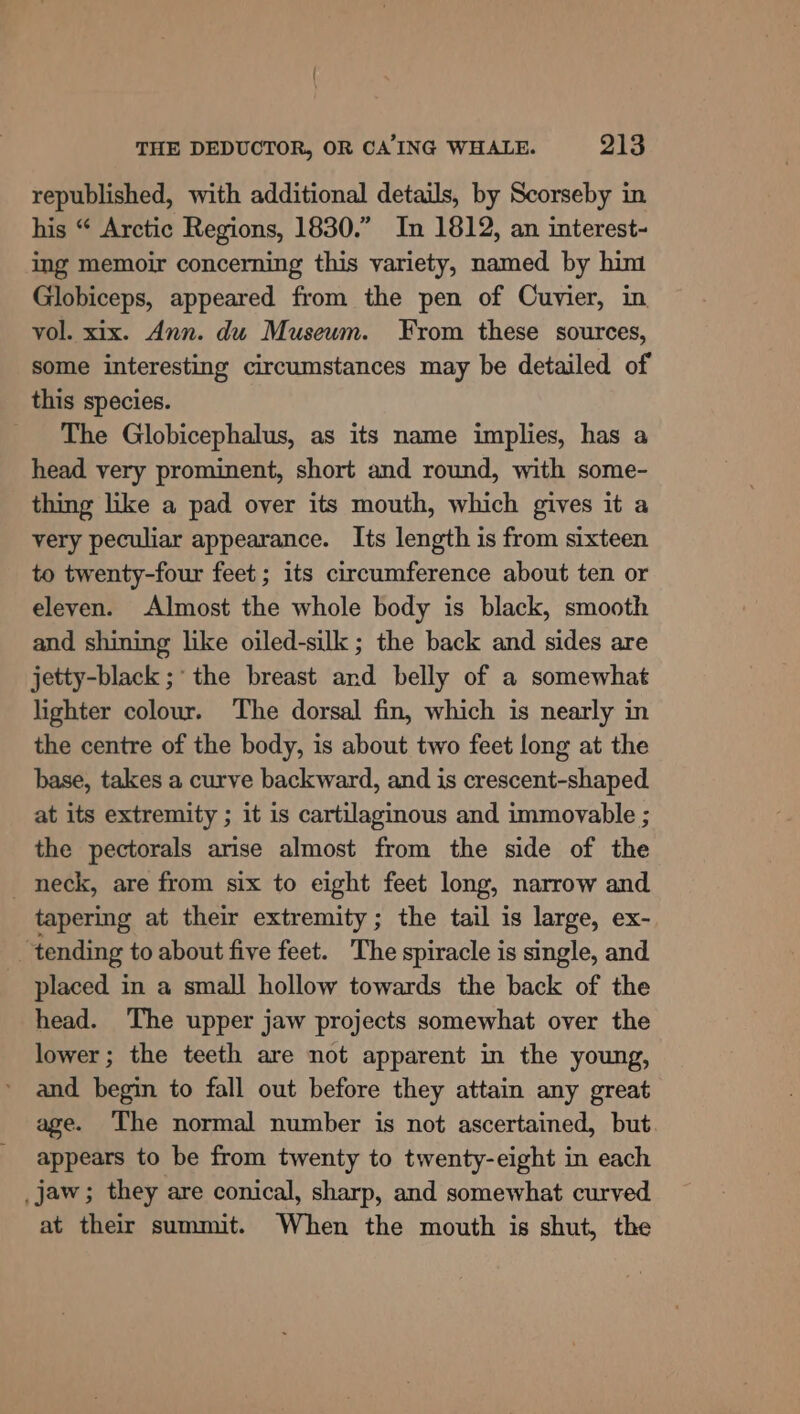 republished, with additional details, by Scorseby in his “ Arctic Regions, 1830.” In 1812, an interest- ing memoir concerning this variety, named by him Globiceps, appeared from the pen of Cuvier, in vol. xix. Ann. du Museum. From these sources, some interesting circumstances may be detailed of this species. The Globicephalus, as its name implies, has a head very prominent, short and round, with some- thing like a pad over its mouth, which gives it a very peculiar appearance. Its length is from sixteen to twenty-four feet ; its circumference about ten or eleven. Almost the whole body is black, smooth and shining like oiled-silk; the back and sides are jetty-black ;* the breast and belly of a somewhat lighter colour. The dorsal fin, which is nearly in the centre of the body, is about two feet long at the base, takes a curve backward, and is crescent-shaped at its extremity ; it 1s cartilaginous and immovable ; the pectorals arise almost from the side of the neck, are from six to eight feet long, narrow and tapering at their extremity; the tail is large, ex- ‘tending to about five feet. The spiracle is single, and placed in a small hollow towards the back of the head. The upper jaw projects somewhat over the lower; the teeth are not apparent in the young, and begin to fall out before they attain any great age. The normal number is not ascertained, but. appears to be from twenty to twenty-eight in each _jaw; they are conical, sharp, and somewhat curved at their summit. When the mouth is shut, the