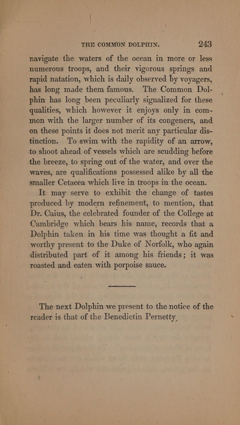 navigate the waters of the ocean in more or less numerous troops, and their vigorous springs and rapid natation, which is daily observed by voyagers, has long made them famous. The Common Dol- phin has long been peculiarly signalized for these qualities, which however it enjoys only in com- mon with the larger number of its congeners, and on these points it does not merit any particular dis- tinction. To-swim with the rapidity of an arrow, to shoot ahead of vessels which are scudding before the breeze, to spring out of the water, and over the waves, are qualifications possessed alike by all the smaller Cetacea which live in troops in the ocean. It may serve to exhibit the change of tastes produced by modern refinement, to mention, that Dr. Caius, the celebrated founder of the College at Cambridge which bears his name, records that a Dolphin taken in his time was thought a fit and worthy present to the Duke of Norfolk, who again distributed part of it among his friends; it was roasted and eaten with porpoise sauce. The next Dolphin we present to the notice of the reader is that of the Benedictin Pernetty,
