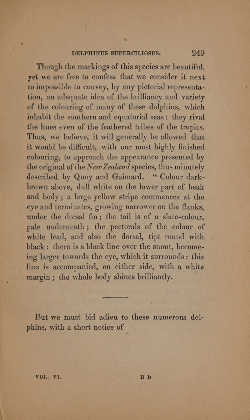 a DELPHINUS SUPERCILIOSUS. 949 Though the markings of this species are beautiful, yet we are free to confess that we consider it next to impossible to convey, by any pictorial representa- tion, an adequate idea of the brilliancy and variety of the colouring of many of these dolphins, which - inhabit the southern and equatorial seas: they rival the hues even of the feathered tribes of the tropics. Thus, we believe, it will generally be allowed that it would be difficult, with our most highly finished colouring, to approach the appearance presented by the original of the New Zealand species, thus minutely described by Quoy and Gaimard. ‘“ Colour dark- brown above, dull white on the lower part of beak and body; a large yellow stripe commences at the eye and terminates, growing narrower on the flanks, under the dorsal fin; the tail is of a slate-colour, pale underneath; the pectorals of the colour of white lead, and also the dorsal, tipt round with black: there is a black line over the snout, become- ing larger towards the eye, which it surrounds: this line is accompanied, on either side, with a white margin ; the whole body shines brilliantly. But we must bid adieu to these numerous do!- phins, with a short notice of YOL. VI. BBE