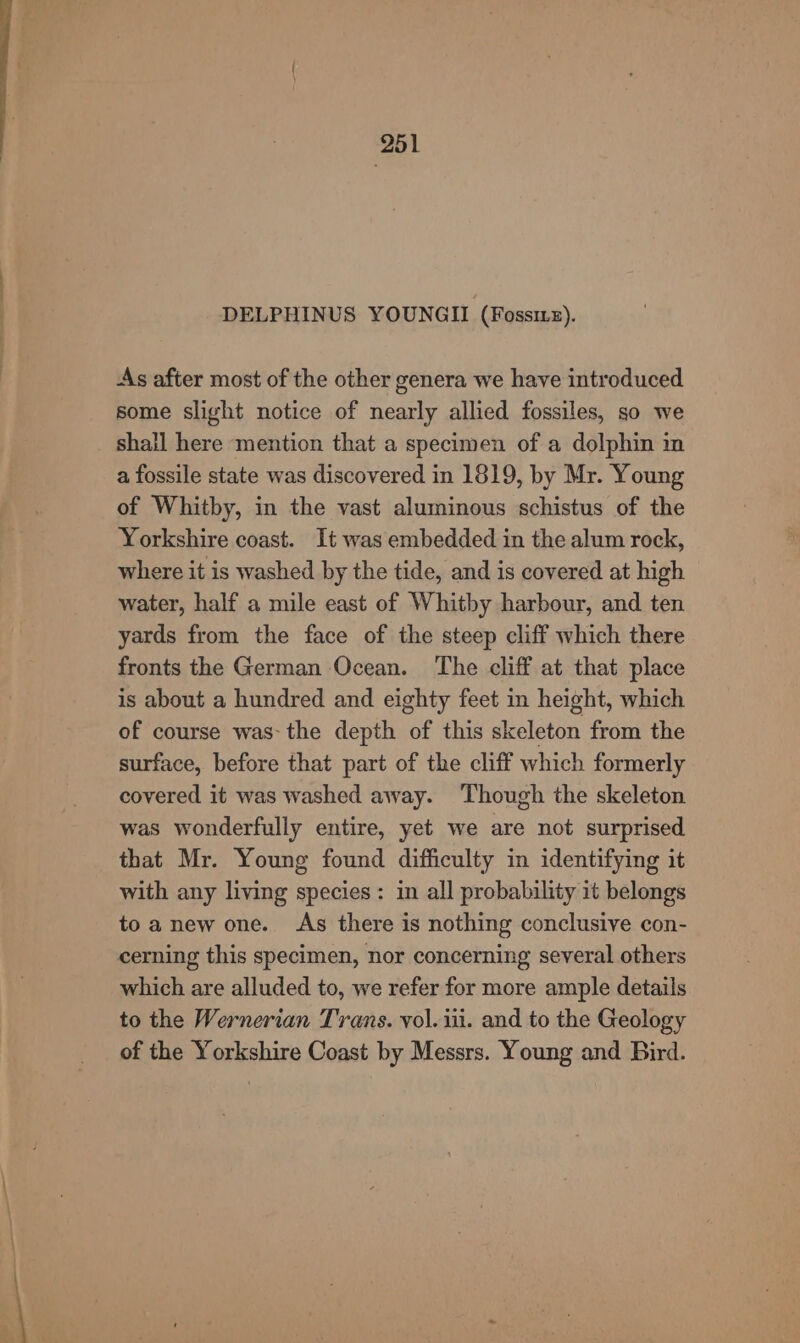 DELPHINUS YOUNGII (Fossizz). As after most of the other genera we have introduced some slight notice of nearly allied fossiles, so we shall here mention that a specimen of a dolphin im a fossile state was discovered in 1819, by Mr. Young of Whitby, in the vast aluminous schistus of the Yorkshire coast. It was embedded in the alum rock, where it is washed by the tide, and is covered at high water, half a mile east of Whitby harbour, and ten yards from the face of the steep cliff which there fronts the German Ocean. The cliff at that place is about a hundred and eighty feet in height, which of course was-the depth of this skeleton from the surface, before that part of the cliff which formerly covered it was washed away. Though the skeleton was wonderfully entire, yet we are not surprised that Mr. Young found difficulty in identifying it with any living species: in all probability it belongs to anew one. As there is nothing conclusive con- cerning this specimen, nor concerning several others which are alluded to, we refer for more ample details to the Wernerian Trans. vol. iii. and to the Geology of the Yorkshire Coast by Messrs. Young and Bird.
