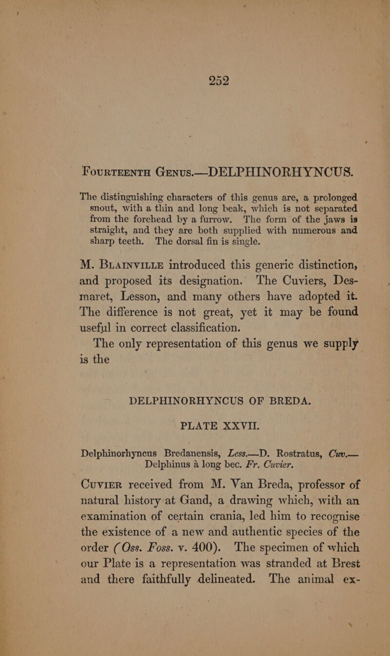 Fourteenta Genus.—DELPHINORH YNCUS. The distinguishing characters of this genus are, a prolonged snout, with a thin and long beak, which is not separated from the forehead by a furrow. The form of the jaws is straight, and they are both supplied with numerous and sharp teeth. The dorsal fin is single. M. BuarnviLE introduced this generic distinction, and proposed its designation. The Cuviers, Des- maret, Lesson, and many others have adopted it. The difference is not great, yet it may be found useful in correct classification. The only representation of this genus we supply is the DELPHINORHYNCUS OF BREDA. PLATE XXVII. Delphinorhyneus Bredanensis, ZLess.—D. Rostratus, Cuv.— Delphinus a long bec. Fr. Cuvier. Cuvier received from M. Van Breda, professor of natural history at Gand, a drawing which, with an examination of certain crania, led him to recognise the existence of a new and authentic species of the order (Oss. Foss. v. 400). The specimen of which our Plate is a representation was stranded at Brest and there faithfully delineated. The animal ex-