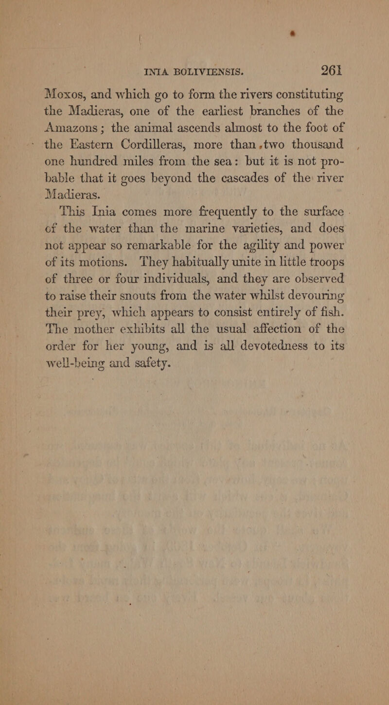 Moxos, and which go to form the rivers constituting the Madieras, one of the earliest branches of the Amazons; the animal ascends almost to the foot of - the Eastern Cordilleras, more than,two thousand one hundred miles from the sea: but it is not pro- bable that it goes beyond the cascades of the: river Madieras. This Inia comes more frequently to the surface . of the water than the marine varieties, and does not appear so remarkable for the agility and power of its motions. They habitually unite in little troops of three or four individuals, and they are observed to raise their snouts from the water whilst devouring their prey, which appears to consist entirely of fish. The mother exhibits all the usual affection of the order for her young, and is all devotedness to its well-being and safety.