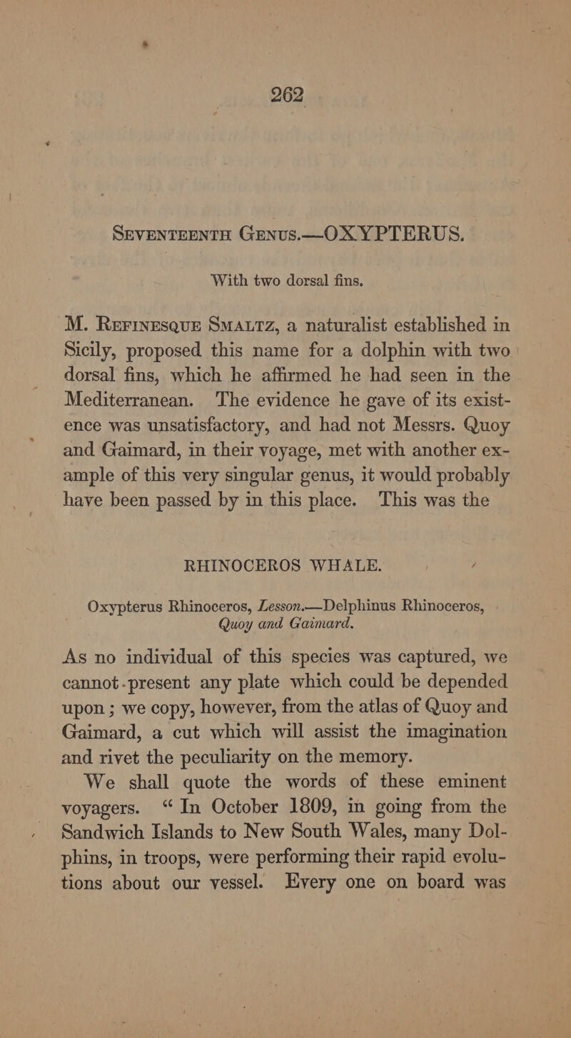 SEVENTEENTH Gunus.—OX YPTERUS. With two dorsal fins. M. Rerinesque SMALTZ, a naturalist established in Sicily, proposed this name for a dolphin with two dorsal fins, which he affirmed he had seen in the Mediterranean. ‘The evidence he gave of its exist- ence was unsatisfactory, and had not Messrs. Quoy and Gaimard, in their voyage, met with another ex- ample of this very singular genus, it would probably have been passed by in this place. This was the RHINOCEROS WHALE. Oxypterus Rhinoceros, Lesson.—Delphinus Rhinoceros, Quoy and Gaimard. As no individual of this species was captured, we cannot-present any plate which could be depended upon ; we copy, however, from the atlas of Quoy and Gaimard, a cut which will assist the imagination and rivet the peculiarity on the memory. We shall quote the words of these eminent voyagers. “In October 1809, in going from the Sandwich Islands to New South Wales, many Dol- phins, in troops, were performing their rapid evolu- tions about our vessel. Every one on board was