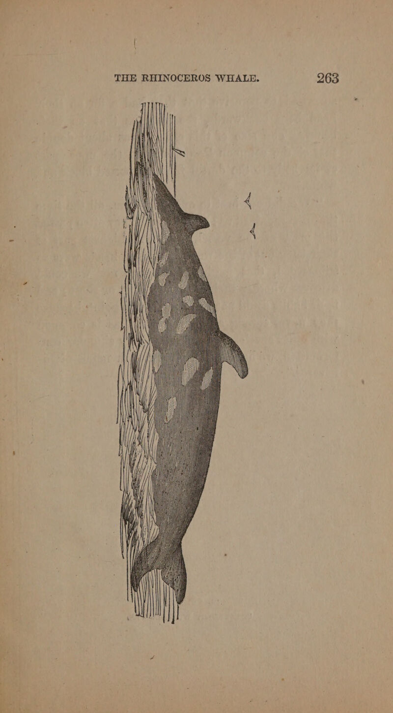 ———SS —SSSS=> SSS SSS