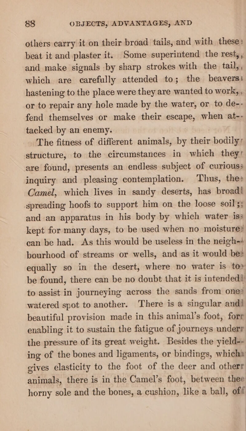 others carry it on their broad tails, and with these» beat it and plaster it. Some superintend the rest, , and make signals by sharp strokes with the tail,, which are carefully attended to; the beavers: hastening to the place were they are wanted to work, , or to repair any hole made by the water, or to de-- fend themselves or make their escape, when at-- tacked by an enemy. The fitness of different animals, by their bodily; structure, to the circumstances in which they’ are found, presents an endless subject of curious: inquiry and pleasing contemplation. Thus, the» Camel, which lives in sandy deserts, has broad! spreading hoofs to support him on the loose soil 5; and an apparatus in his body by which water iss kept for many days, to be used when no moisture? can be had. As this would be useless in the neigh-4 bourhood of streams or wells, and as it would be: equally so in the desert, where no water is to» be found, there can be no doubt that it is intendedi to assist in journeying across the sands from one® watered spot to another. There is a singular andi beautiful provision made in this animal’s foot, forr enabling it to sustain the fatigue of journeys underr the pressure of its great weight. Besides the yield-- ing of the bones and ligaments, or bindings, which gives elasticity to the foot of the deer and otherr animals, there is in the Camel’s foot, between thee horny sole and the bones, a cushion, like a ball, off