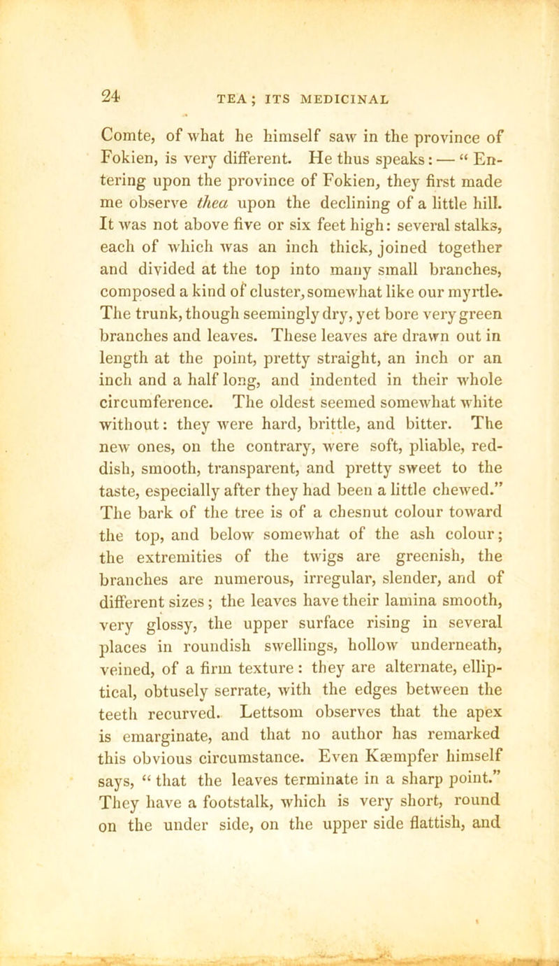 Comte, of what he himself saw in the province of Fokien, is very different. He thus speaks: — “ En- tering upon the province of Fokien, they first made me observe thea upon the declining of a little hill. It was not above five or six feet high: several stalks, each of which was an inch thick, joined together and divided at the top into many small branches, composed a kind of cluster, somewhat like our myrtle. The trunk, though seemingly dry, yet bore very green branches and leaves. These leaves are drawn out in length at the point, pretty straight, an inch or an inch and a half long, and indented in their whole circumference. The oldest seemed somewhat white without: they were hard, brittle, and bitter. The new ones, on the contrary, were soft, pliable, red- dish, smooth, transparent, and pretty sweet to the taste, especially after they had been a little chewed.” The bark of the tree is of a chesnut colour toward the top, and below somewhat of the ash colour; the extremities of the twigs are greenish, the branches are numerous, irregular, slender, and of different sizes; the leaves have their lamina smooth, very glossy, the upper surface rising in several places in roundish swellings, hollow underneath, veined, of a firm texture : they are alternate, ellip- tical, obtusely serrate, with the edges between the teeth recurved. Lettsom observes that the apex is emarginate, and that no author has remarked this obvious circumstance. Even Kaempfer himself says, “ that the leaves terminate in a sharp point.” They have a footstalk, which is very short, round on the under side, on the upper side flattish, and