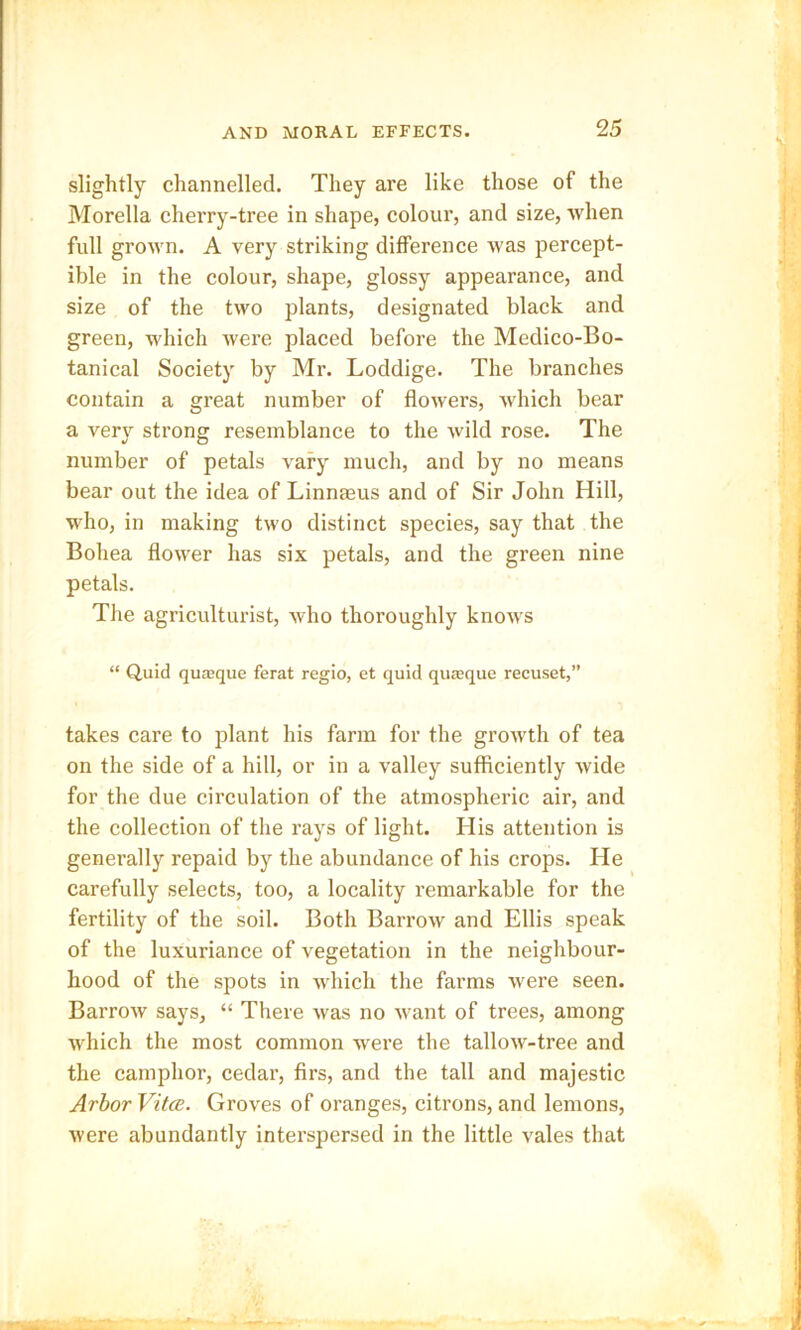 slightly channelled. They are like those of the Morelia cherry-tree in shape, colour, and size, when full grown. A very striking difference was percept- ible in the colour, shape, glossy appearance, and size of the two plants, designated black and green, which were placed before the Medico-Bo- tanical Society by Mr. Loddige. The branches contain a great number of flowers, which bear a very strong resemblance to the wild rose. The number of petals vary much, and by no means bear out the idea of Linnaeus and of Sir John Hill, who, in making two distinct species, say that the Bohea flower has six petals, and the green nine petals. The agriculturist, who thoroughly knows “ Quid qua'que ferat regio, et quid quaque recuset,” takes care to plant his farm for the growth of tea on the side of a hill, or in a valley sufficiently wide for the due circulation of the atmospheric air, and the collection of the rays of light. His attention is generally repaid by the abundance of his crops. He carefully selects, too, a locality remarkable for the fertility of the soil. Both Barrow and Ellis speak of the luxuriance of vegetation in the neighbour- hood of the spots in which the farms were seen. Barrow says, “ There was no want of trees, among which the most common were the tallow-tree and the camphor, cedar, firs, and the tall and majestic Arbor Vital. Groves of oranges, citrons, and lemons, Avere abundantly interspersed in the little vales that