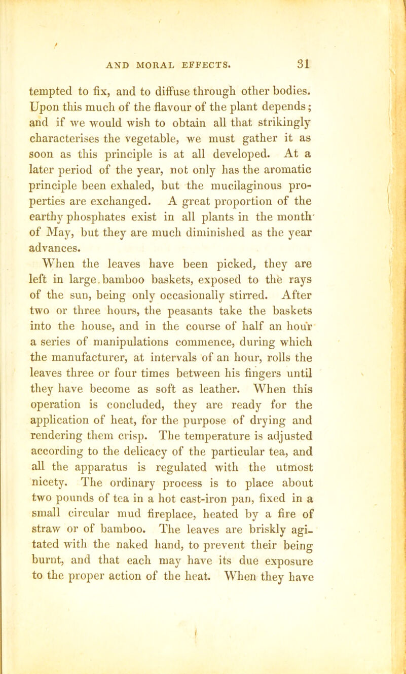 tempted to fix, and to diffuse through other bodies. Upon this much of the flavour of the plant depends; and if we would wish to obtain all that strikingly characterises the vegetable, we must gather it as soon as this principle is at all developed. At a later period of the year, not only has the aromatic principle been exhaled, but the mucilaginous pro- perties are exchanged. A great proportion of the earthy phosphates exist in all plants in the month' of May, but they are much diminished as the year advances. When the leaves have been picked, they are left in large.bamboo baskets, exposed to the rays of the sun, being only occasionally stirred. After two or three hours, the peasants take the baskets into the house, and in the course of half an hour a series of manipulations commence, during which the manufacturer, at intervals of an hour, rolls the leaves three or four times between his fingers until they have become as soft as leather. When this operation is concluded, they are ready for the application of heat, for the purpose of drying and rendering them crisp. The temperature is adjusted according to the delicacy of the particular tea, and all the apparatus is regulated with the utmost nicety. The ordinary process is to place about two pounds of tea in a hot cast-iron pan, fixed in a small circular mud fireplace, heated by a fire of straw or of bamboo. The leaves are briskly agi- tated with the naked hand, to prevent their being burnt, and that each may have its due exposure to the proper action of the heat. When they have I