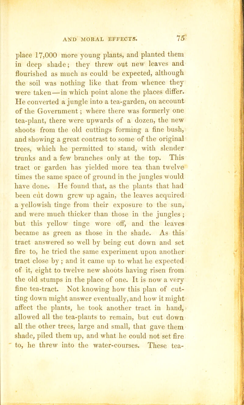 place 17,000 more young plants, and planted them in deep shade; they threw out new leaves and flourished as much as could be expected, although the soil was nothing like that from whence they were taken — in which point alone the places differ. He converted a jungle into a tea-garden, on account of the Government; where there was formerly one tea-plant, there were upwards of a dozen, the new shoots from the old cuttings forming a fine bush, and showing a great contrast to some of the original trees, which he permitted to stand, Avith slender trunks and a few branches only at the top. This tract or garden has yielded more tea than twelve times the same space of ground in the jungles would have done. He found that, as the plants that had been cut down grew up again, the leaves acquired a yellowish tinge from their exposure to the sun, and were much thicker than those in the jungles ; but this yellow tinge wore off, and the leaves became as green as those in the shade. As this tract answered so well by being cut down and set fire to, he tried the same experiment upon another tract close by; and it came up to what he expected of it, eight to twelve new shoots having risen from the old stumps in the place of one. It is now a very fine tea-tract. Not knowing how this plan of cut- ting down might answer eventually, and how it might affect the plants, he took another tract in hand, allowed all the tea-plants to remain, but cut down all the other trees, large and small, that gave them shade, piled them up, and what he could not set fire to, he threw into the water-courses. These tea-