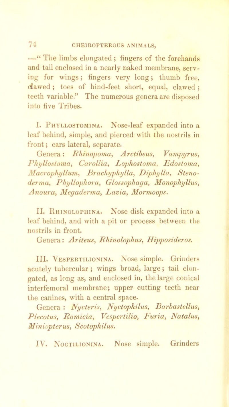 —“ The limbs elongated ; fingers of the forehands and tail enclosed in a nearly naked membrane, serv- ing for wings; fingers very long; thumb free, ciawed; toes of hind-feet short, equal, clawed ; teeth valuable.” The numerous genera are disposed into five Tribes. I. Phyllostomina. Nose-leaf expanded into a leaf behind, simple, and pierced with the nostrils in front; ears lateral, separate. Genera: Rhinopoma, Arctibeus, Vampyrus, Phyllostoma, Carollia, Lophostomci, Edostomci, Macrophyllum, Eracbypbylla, Diphylla, Steno- derma, P/iyllophorct, Glosaophciga, Moiiophyllus, Anoura, Megadcrma, Lavia, Mormoops. II. Rhinolophina. Nose disk expanded into a leaf behind, and with a pit or process between the nostrils in front. Genera: Ariteus, Rhinoloplius, Hipposideros. III. Vespertilionina. Nose simple. Grinders acutely tubercular; wings broad, large; tail elon- gated, as long as, and enclosed in, the large conical interfemoral membrane; upper cutting teeth near the canines, with a central space. Genera : Nycteris, Nyctophilus, Barbastellus, Plecotus, Romicia, Vespertilio, Furia, Natalus, Miniopterus, Scotophilus. IV. Noctilionina. Nose simple. Grinders