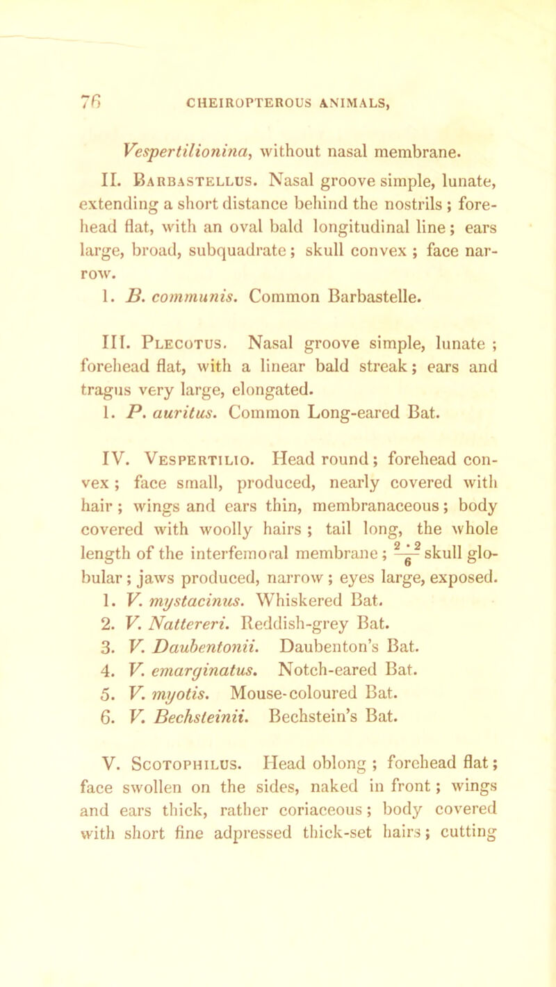 Vespertilionina, without nasal membrane. II. Barbastellus. Nasal groove simple, lunate, extending a short distance behind the nostrils ; fore- head flat, with an oval bald longitudinal line; ears large, broad, subquadrate; skull convex ; face nar- row. 1. B. communis. Common Barbastelle. III. Plecotus. Nasal groove simple, lunate ; forehead flat, with a linear bald streak; ears and tragus very large, elongated. 1. P. auritus. Common Long-eared Bat. IV. Vespertilio. Head round; forehead con- vex ; face small, produced, nearly covered with hair; wings and ears thin, membranaceous; body covered with woolly hairs ; tail long, the whole length of the interfemoral membrane; skull glo- bular ; jaws produced, narrow; eyes large, exposed. 1. V. mystacinus. Whiskered Bat. 2. V. Nattereri. Reddish-grey Bat. 3. V Daubentonii. Daubenton’s Bat. 4. V. emarginatus. Notch-eared Bat. 5. V. myotis. Mouse-coloured Bat. 6. V. Bechsleinii. Bechstein’s Bat. V. Scotophilus. Head oblong ; forehead flat; face swollen on the sides, naked in front; wings and ears thick, rather coriaceous; body covered with short fine adpressed thick-set hairs; cutting