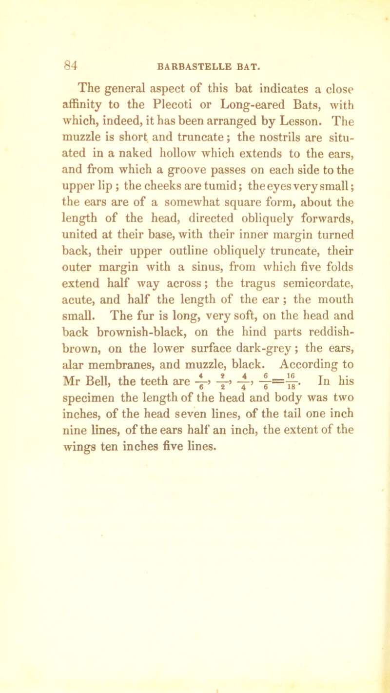 The general aspect of this bat indicates a close affinity to the Plecoti or Long-eared Bats, with which, indeed, it has been arranged by Lesson. The muzzle is short and truncate; the nostrils are situ- ated in a naked hollow which extends to the ears, and from which a groove passes on each side to the upper lip; the cheeks are tumid; the eyes very small; the ears are of a somewhat square form, about the length of the head, directed obliquely forwards, united at their base, with their inner margin turned back, their upper outline obliquely truncate, their outer margin with a sinus, from which five folds extend half way across; the tragus semicordate, acute, and half the length of the ear ; the mouth small. The fur is long, very soft, on the head and back brownish-black, on the hind parts reddish- brown, on the lower surface dark-grey; the ears, alar membranes, and muzzle, black. According to Mr Bell, the teeth are -£-> In his specimen the length of the head and body was two inches, of the head seven lines, of the tail one inch nine lines, of the ears half an inch, the extent of the wings ten inches five lines.