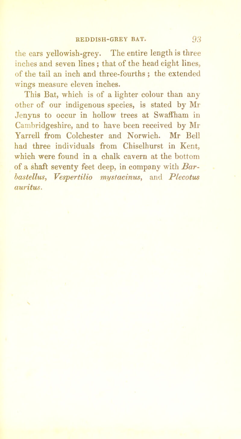 the ears yellowish-grey. The entire length is three inches and seven lines ; that of the head eight lines, of the tail an inch and three-fourths ; the extended wings measure eleven inches. This Bat, which is of a lighter colour than any other of our indigenous species, is stated by Mr Jenyns to occur in hollow trees at Swaffham in Cambridgeshire, and to have been received by Mr Yarrell from Colchester and Norwich. Mr Bell had three individuals from Chiselhurst in Kent, which were found in a chalk cavern at the bottom of a shaft seventy feet deep, in company with Bar- bastellus, Vespertilio mystacinus, and Plecotus auritus.