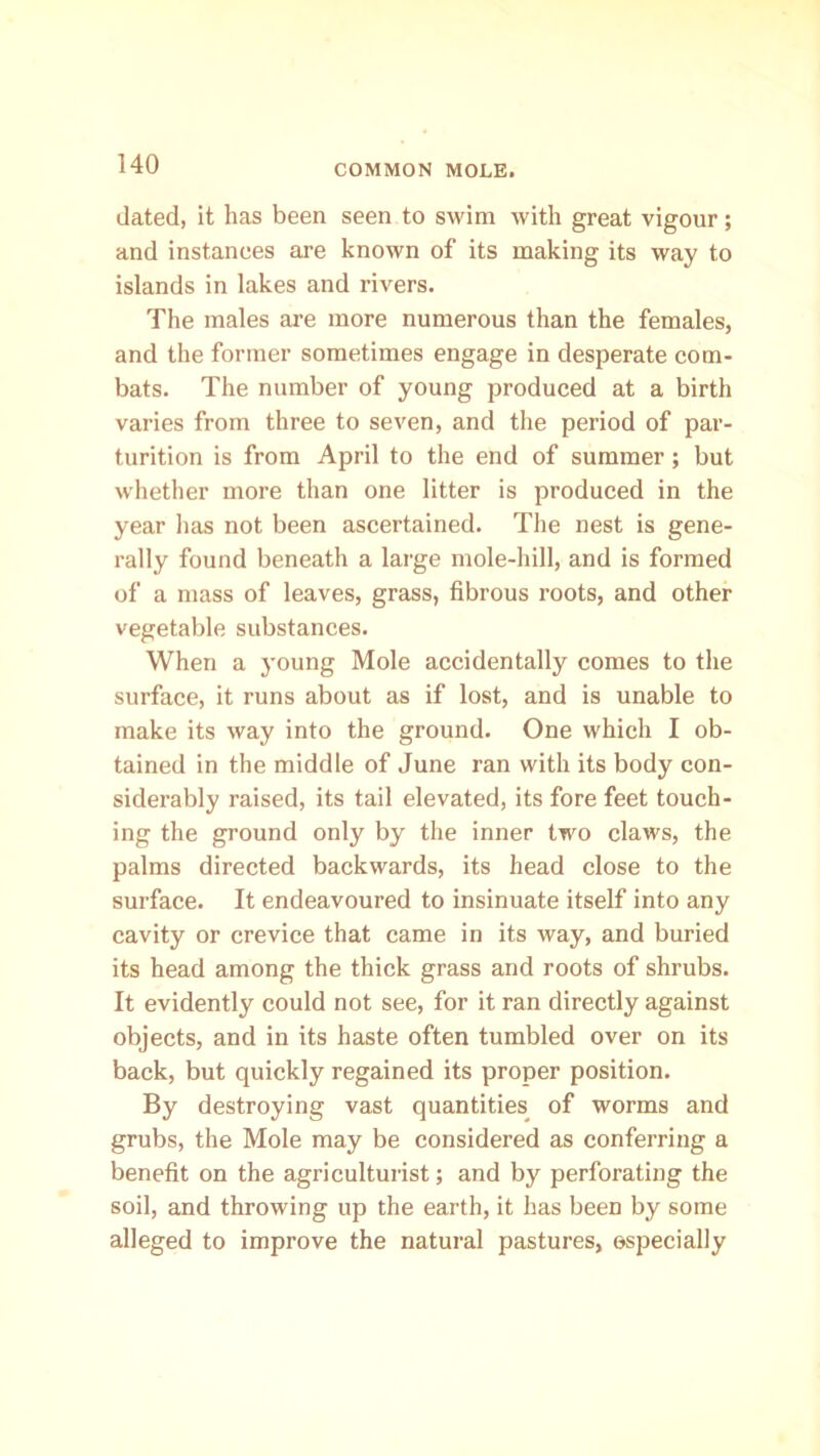dated, it has been seen to swim with great vigour; and instances are known of its making its way to islands in lakes and rivers. The males are more numerous than the females, and the former sometimes engage in desperate com- bats. The number of young produced at a birth varies from three to seven, and the period of par- turition is from April to the end of summer; but whether more than one litter is produced in the year has not been ascertained. The nest is gene- rally found beneath a large mole-hill, and is formed of a mass of leaves, grass, fibrous roots, and other vegetable substances. When a young Mole accidentally comes to the surface, it runs about as if lost, and is unable to make its way into the ground. One which I ob- tained in the middle of June ran with its body con- siderably raised, its tail elevated, its fore feet touch- ing the ground only by the inner two claws, the palms directed backwards, its head close to the surface. It endeavoured to insinuate itself into any cavity or crevice that came in its way, and buried its head among the thick grass and roots of shrubs. It evidently could not see, for it ran directly against objects, and in its haste often tumbled over on its back, but quickly regained its proper position. By destroying vast quantities of worms and grubs, the Mole may be considered as conferring a benefit on the agriculturist; and by perforating the soil, and throwing up the earth, it has been by some alleged to improve the natural pastures, ©specially