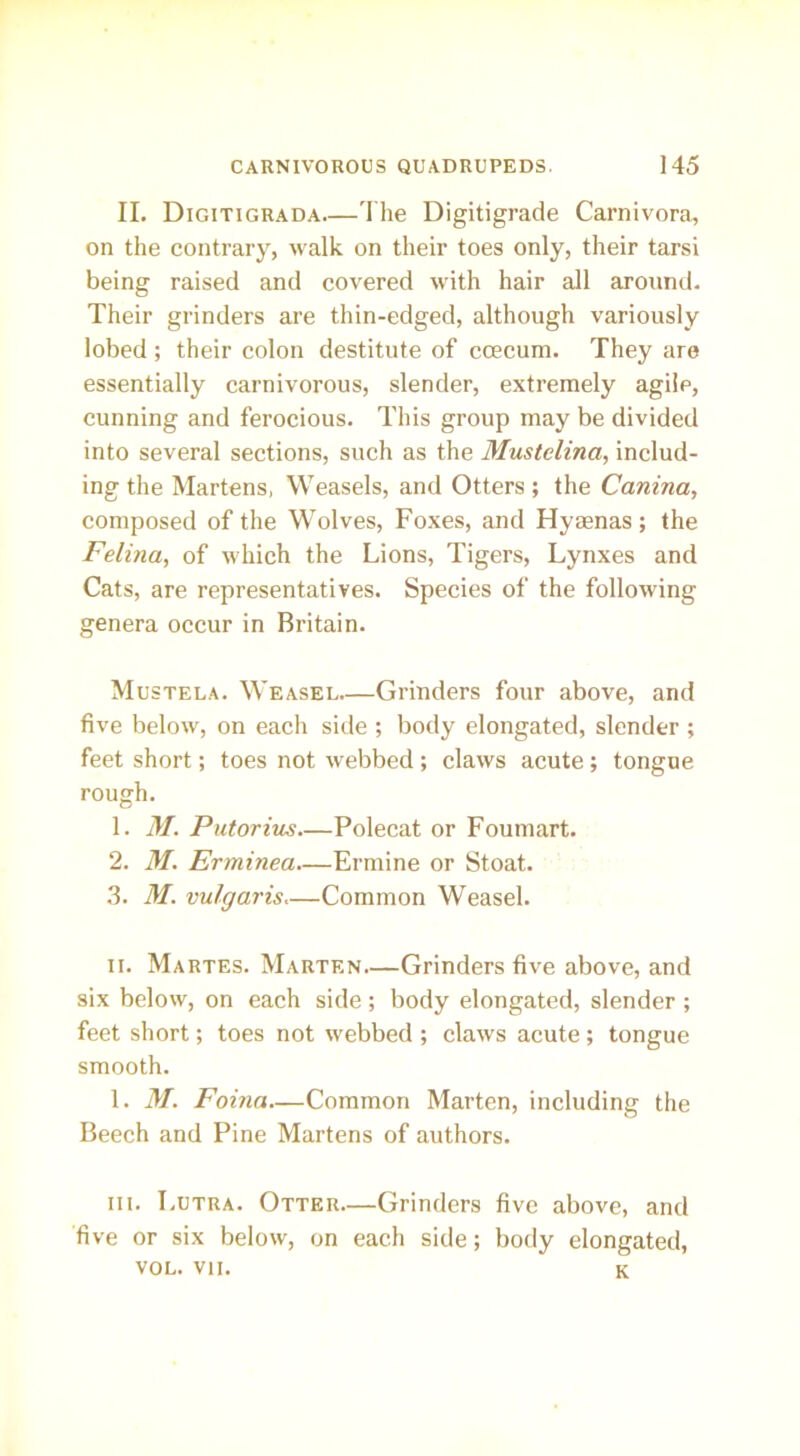 II. Digitigrada The Digitigrade Carnivora, on the contrary, walk on their toes only, their tarsi being raised and covered with hair all around. Their grinders are thin-edged, although variously lobed ; their colon destitute of ccecum. They are essentially carnivorous, slender, extremely agilp, cunning and ferocious. This group may be divided into several sections, such as the Mustclina, includ- ing the Martens, Weasels, and Otters; the Canina, composed of the Wolves, Foxes, and Hyaenas; the Felina, of which the Lions, Tigers, Lynxes and Cats, are representatives. Species of the following genera occur in Britain. Mustela. Weasel—Grinders four above, and five below, on each side ; body elongated, slender ; feet short; toes not webbed; claws acute; tongue rough. 1. M. Putorius.—Polecat or Foumart. 2. M. Erminea.—Ermine or Stoat. 3. M. vulgaris.—Common Weasel. ii. Martes. Marten Grinders five above, and six below, on each side; body elongated, slender ; feet short; toes not webbed ; claws acute ; tongue smooth. 1. M. Foina—Common Marten, including the Beech and Pine Martens of authors. hi. I.utra. Otter—Grinders five above, and five or six below, on each side; body elongated, VOL. VII. k