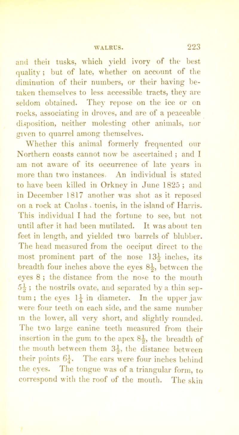 and theii tusks, which yield ivory of the best quality; but of late, whether on account of the diminution of their numbers, or their having be- taken themselves to less accessible tracts, they are seldom obtained. They repose on the ice or on rocks, associating in droves, and are of a peaceable disposition, neither molesting other animals, nor given to quarrel among themselves. Whether this animal formerly frequented our Northern coasts cannot now be ascertained ; and I am not aware of its occurrence of late years in more than two instances. An individual is stated to have been killed in Orkney in June 1825; and in December 1817 another was shot as it reposed on a rock at Caolas . tocnis, in the island of Harris. This individual I had the fortune to see, but not until after it had been mutilated. It was about ten feet in length, and yielded two barrels of blubber. The head measured from the occiput direct to the most prominent part of the nose 13^ inches, its breadth four inches above the eyes 8-^, between the eyes 8 ; the distance from the nose to the mouth 5^ ; the nostrils ovate, and separated by a thin sep- tum ; the eyes 1^ in diameter. In the upper jaw were four teeth on each side, and the same number in the lower, all very short, and slightly rounded. The two large canine teeth measured from their insertion in the gum to the apex 8-^, the breadth of the mouth between them 3^, the distance between their points 6j-. The ears were four inches behind the eyes. The tongue was of a triangular form, to correspond with the roof of the mouth. The skin