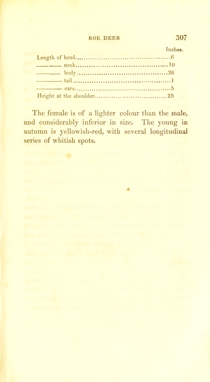 Length of head..., Inches. 10 26 ] 5 Height at the shoulder 25 The female is of a lighter colour than the male, and considerably inferior in size. The young in autumn is yellowish-red, with several longitudinal series of whitish spots.