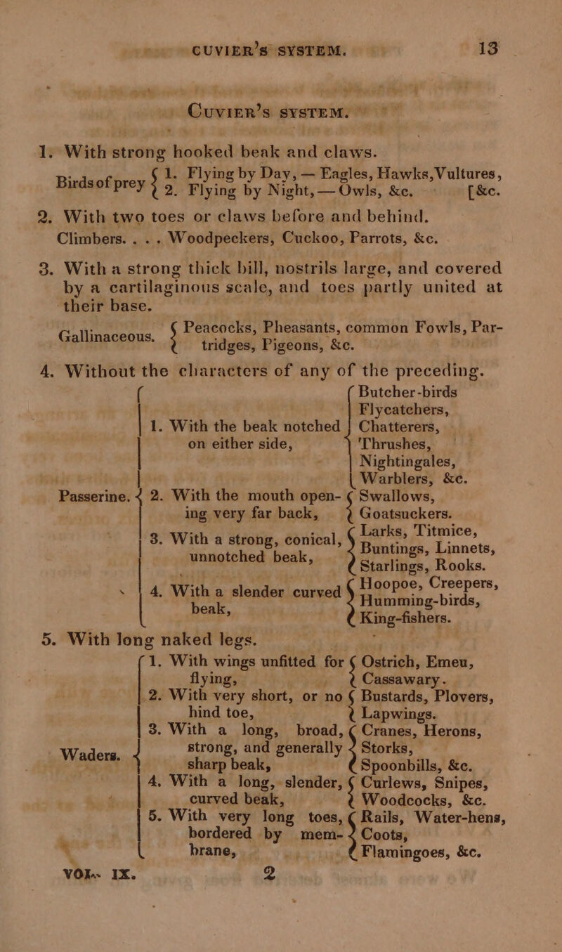 sh 4 ‘a iF es q ndsGincis abies S SYSTEM. 1. With strong used beak aie claws. 1. Flying by Day, — Eagles, Hawks, Vultures Birdsof prey ; 2. Flying by Night, — Owls, &amp;e. [&amp;e. 2. With two toes or claws before and behind. Climbers. . . . Woodpeckers, Cuckoo, Parrots, &amp;c. 3. Witha strong thick bill, nostrils large, and covered by a cartilaginous scale, and toes partly united at their base. Peacocks, Pheasants, common Fow!s, Par- Galaneseass. ; tridges, Pigeons, &amp;c. 4. Without the characters of any of the preceding. Butcher-birds Flycatchers, 1. With the beak notched |} Chatterers, on either side, 'Thrushes, : Nightingales, Warblers, &amp;e. ing very far back, ; Goatsuckers. Larks, Titmice, 3. With a strong, conical, Buntings, Linnets, Starlings, Rooks. Hoopoe, Creepers, Humming-birds, eet He tag unnotched beak, 4, With a ot a curved Banerises id 2. With the mouth open- ¢ Swallows, | | beak, 5. With long naked legs. 1. With wings unfitted for flying, Ostrich, Emeu, Cassawary 2. With very short, or no § Pastaple,, ¥ Plovers, | hind toe, ¢ Lapwings. 3. With a long, broad, ( Cranes, Herons, strong, and generally 3 Str Waders, ‘ sharp beak, Spoonbills, &amp;c. 4, With a long, slender, § Curlews, Snipes, curved beak, ; 5. With very long toes, bordered nes mem- brane, Woodcocks, &amp;c. ‘Rails, Water-hens, Coots, ( Flamingoes, &amp;c. VOR. Ix.