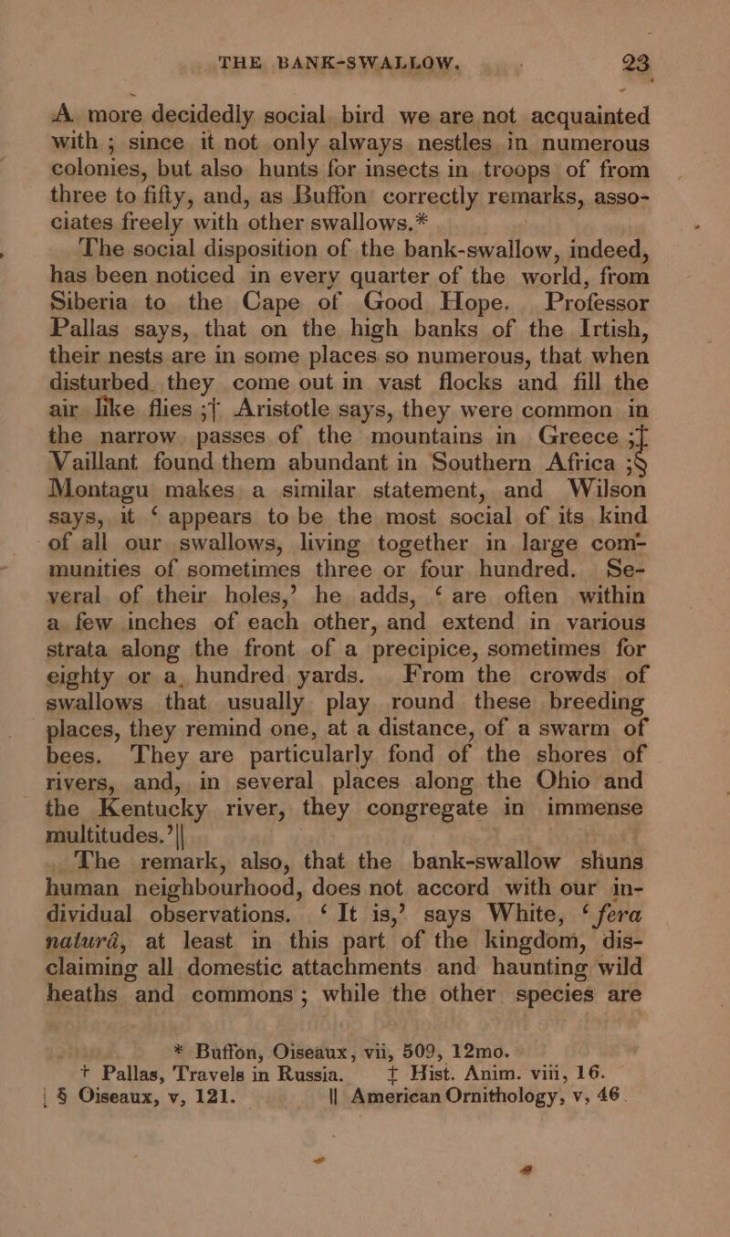 A. more e decidedly social. bird we are not sicisinied with ; since it not only always nestles in numerous colonies, but also hunts for insects in. treops of from three to fifty, and, as Buffon’ correctly remarks, asso- ciates freely with ‘other swallows. * The social disposition of the bank-swallow, indeed, has been noticed in every quarter of the world, from Siberia to the Cape of Good Hope. Professor Pallas says, that on the high banks of the Irtish, their nests are in some places so numerous, that when disturbed. they come out in vast flocks and fill the air like flies ;+ Aristotle says, they were common in the narrow. passes of the mountains in Greece Vaillant found them abundant in Southern Africa Ks Montagu makes a similar statement, and Wilson says, it ‘ appears to be the most social of its kind of all our swallows, living together in large com- munities of sometimes three or four hundred. Se- veral of thei holes,’ he adds, ‘ are often within a few inches of each other, and extend in various strata along the front of a precipice, sometimes for eighty or a, hundred yards. From the crowds of swallows that usually play round these breeding places, they remind one, at a distance, of a swarm of bees. ‘They are particularly fond of the shores of rivers, and, in several places along the Ohio and the Kentucky river, they congregate in immense multitudes. ’|| _ The remark, also, that the bank-swallow Shade human neighbourhood, does not accord with our in- dividual observations. ‘It is,? says White, ‘ fera natura@, at least in this part of the kingdom, dis- claiming all domestic attachments and haunting wild heaths and commons; while the other species are ; * Buffon, Oiseaux, vii, 509, 12mo. + Pallas, Travels in Russia. t Hist. Anim. vin, 16.