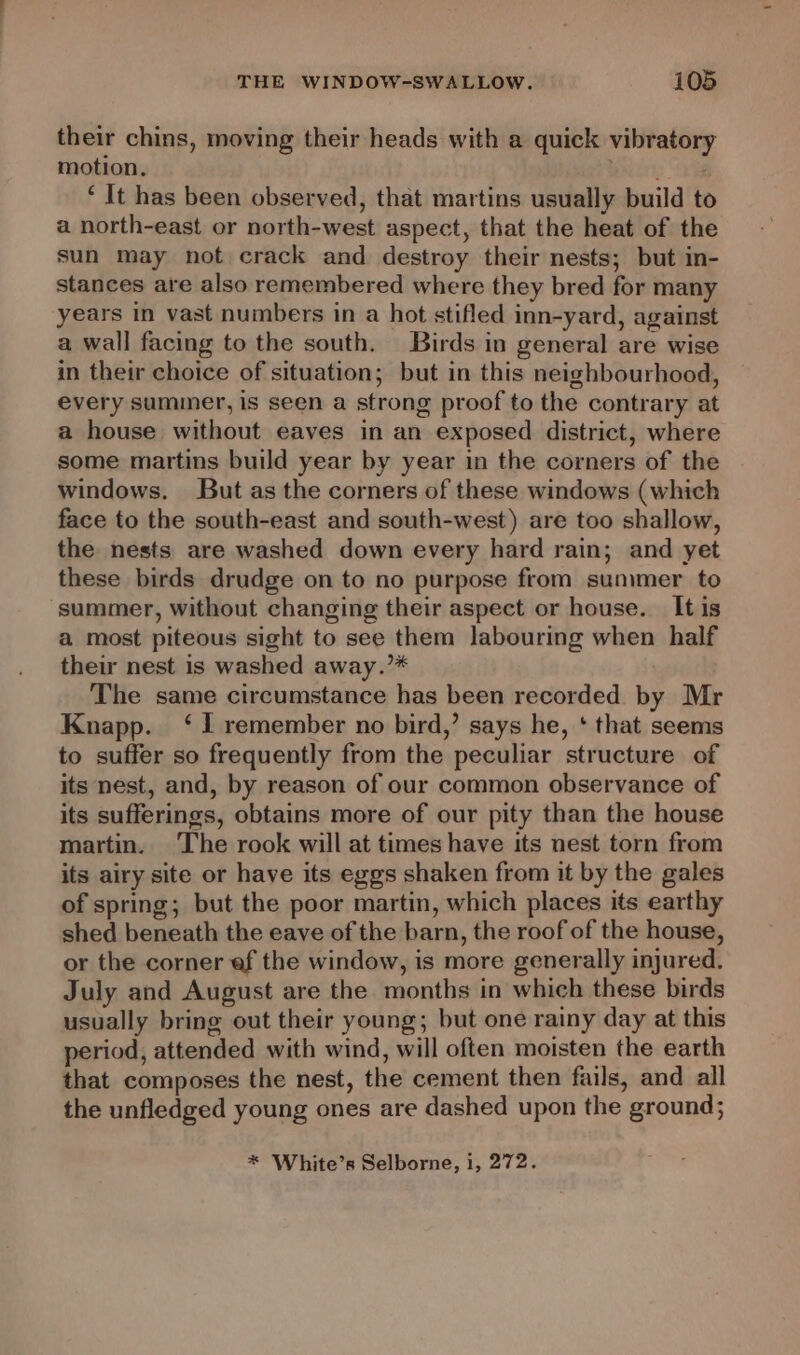 their chins, moving their heads with a quick vibratory motion. nets tis ‘ It has been observed, that martins usually build to a north-east or north-west aspect, that the heat of the sun may not crack and destroy their nests; but in- stances are also remembered where they bred for many years in vast numbers in a hot stifled inn-yard, against a wall facing to the south. Birds in general are wise in their choice of situation; but in this neighbourhood, every summer, is seen a strong proof to the contrary at a house without eaves in an exposed district, where some martins build year by year in the corners of the windows. But as the corners of these windows (which face to the south-east and south-west) are too shallow, the nests are washed down every hard rain; and yet these birds drudge on to no purpose from sunimer to ‘summer, without changing their aspect or house. It is a most piteous sight to see them labouring when half their nest is washed away.’* | The same circumstance has been recorded by Mr Knapp. ‘1 remember no bird,’ says he, ‘ that seems to suffer so frequently from the peculiar structure of its nest, and, by reason of our common observance of its sufferings, obtains more of our pity than the house martin. The rook will at times have its nest torn from its airy site or have its eggs shaken from it by the gales of spring; but the poor martin, which places its earthy shed beneath the eave of the barn, the roof of the house, or the corner ef the window, is more generally injured. July and August are the months in which these birds usually bring out their young; but one rainy day at this period, attended with wind, will often moisten the earth that composes the nest, the cement then fails, and all the unfledged young ones are dashed upon the ground; * White’s Selborne, i, 272.