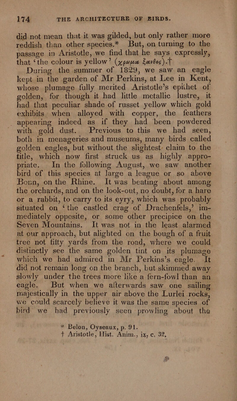 did not mean that it was gilded, but only rather more reddish than other species.* But, on turning to the passage in Aristotle, we find that he says expressly, that ‘the colour is yellow’ (ypapee Eavbos).T During the summer of 1829, we saw an eagle kept in the garden of Mr Perkins, at Lee in Kent, whose plumage fully merited Aristotle’s epithet of golden, for though it had little metallic lustre, it had that peculiar shade of russet yellow which gold exhibits when alloyed with copper, the feathers _ appearing indeed as if they had been powdered with gold dust. Previous to this we had seen, both in menageries and museums, many birds called golden eagles, but without the slightest: claim to the title, which now first struck us as_ highly appro- priate. In the following August, we saw another bird of this species at large a league or so above Bonn, onthe Rhine. It was beating about among the orchards, and on the look-out, no doubt, for a hare or a rabbit, to carry to its eyry, which was probably situated on ‘the castled crag of Drachenfels,’ im- mediately oppesite, or some other precipice on the Seven Mountains. It was not in the least alarmed at our approach, but alighted on the bough of a fruit tree not fifty yards from the road, where we could distinctly see the same golden tint on its plumage which we had admired in Mr Perkins’s eagle. It did not remain long on the branch, but skimmed away slowly under the trees more like a fern-fowl than an eagle. But when we alterwards saw one sailing majestically in the upper air above the Lurlei-rocks, we could scarcely believe it was the same species of bird we had previously seen prowling about the * Belon, Oyseaux, p. 91. + Aristotle, Hist. Anim., ix, c. 32,