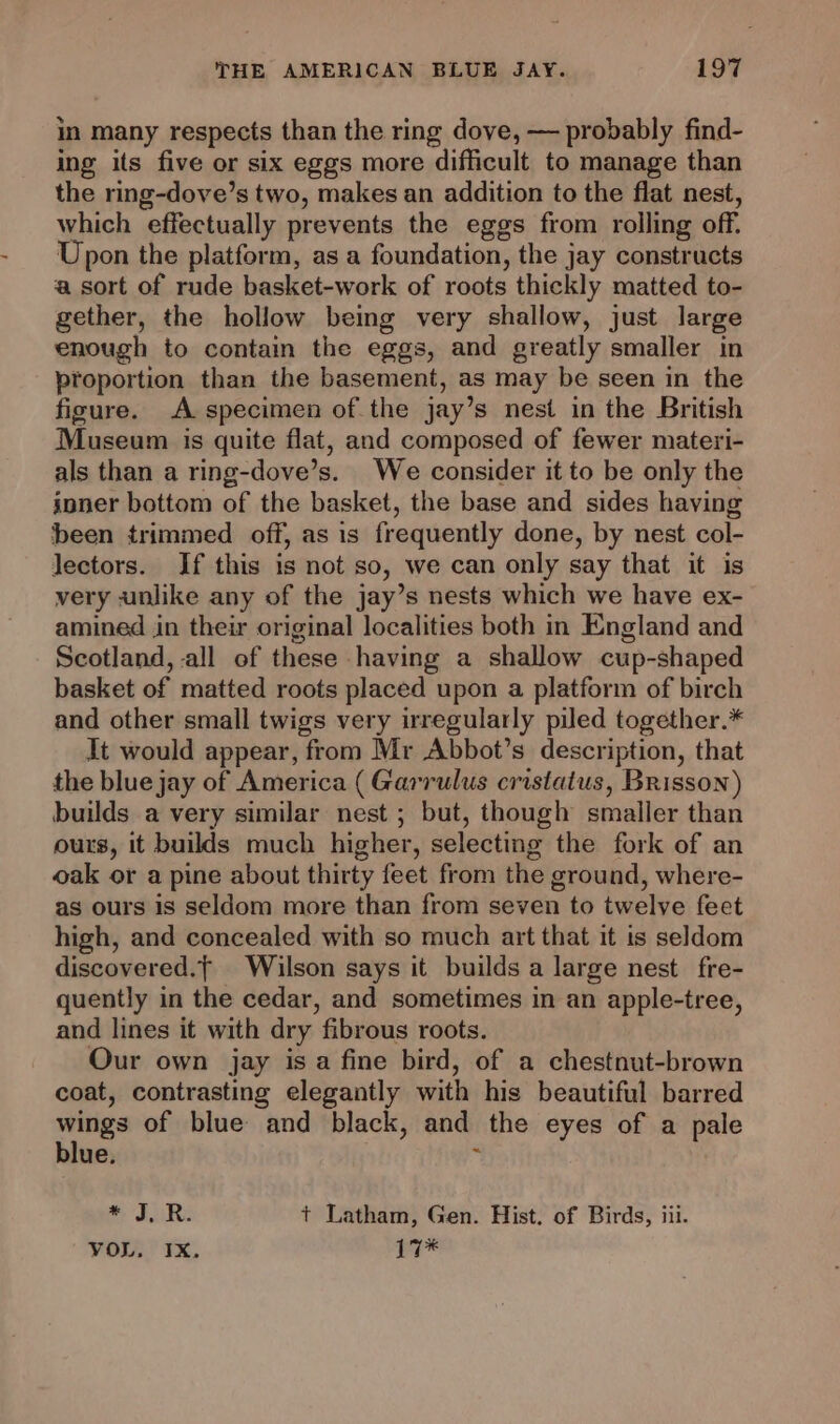 in many respects than the ring dove, — probably find- ing its five or six eggs more difficult to manage than the ring-dove’s two, makes an addition to the flat nest, which effectually prevents the eggs from rolling off. Upon the platform, as a foundation, the jay constructs a sort of rude basket-work of roots thickly matted to- gether, the hollow being very shallow, just large enough to contain the eggs, and greatly smaller in proportion than the basement, as may be seen in the figure. A specimen of the jay’s nest in the British Museum is quite flat, and composed of fewer materi- als than a ring-dove’s. We consider it to be only the inner bottom of the basket, the base and sides having been trimmed off, as is frequently done, by nest col- Jectors. If this is not so, we can only say that it is very unlike any of the jay’s nests which we have ex- amined in their original localities both in England and Scotland, all of these having a shallow cup-shaped basket of matted roots placed upon a platform of birch and other small twigs very irregularly piled together.* It would appear, from Mr Abbot’s description, that the blue jay of America ( Garrulus cristatus, Brisson) builds a very similar nest ; but, though smaller than ours, it builds much higher, selecting the fork of an oak or a pine about thirty feet from the ground, where- as ours is seldom more than from seven to twelve feet high, and concealed with so much art that it is seldom discovered.f— Wilson says it builds a large nest fre- quently in the cedar, and sometimes in an apple-tree, and lines it with dry fibrous roots. Our own jay isa fine bird, of a chestnut-brown coat, contrasting elegantly with his beautiful barred ee of blue and black, and the eyes of a pale blue.  ® ERs t Latham, Gen. Hist. of Birds, iii. VOL. IX. 1t*