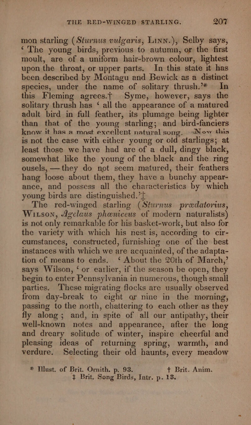 mon starling (Sturnus vulgaris, Linn.), Selby says, ‘The young birds, previous to autumn, or the first moult, are of a uniform hair-brown colour, lightest upon the throat, or upper parts. In this state it has been described by Montagu and Bewick as a distinct species, under the name of solitary thrush.* In this Fleming agrees.~| Syme, however, says the solitary thrush has ‘ all the appearance of a matured adult bird in full feather, its plumage being lighter than that of the young starling; and bird-fanciers know it has a most excellent natural song. -&lt;Neow this is not the case with either young or old starlings; at least those we have had are of a dull, dingy black, somewhat like the young of the black and the ring ousels, —they do not seem matured, their feathers hang loose about them, they have a bunchy appear- ance, and possess all the characteristics by which young birds are distinguished.’{ The red-winged starling (Sturnus predatorws, Witson, Agelaus pheniceus of modern naturalists) is not only remarkable for his basket-work, but also for the variety with which his nest is, according to cir- cumstances, constructed, furnishing one of the best instances with which we are acquainted, of the adapta- tion of means to ends. ‘ About the 20th of March,’ says Wilson, ‘ or earlier, if the season be open, they begin to enter Pennsylvania in numerous, though small parties. These migrating flocks are usually observed from day-break to eight or nine in the morning, passing to the north, chattering to each other as they fly along; and, in spite of all our antipathy, their well-known notes and appearance, after the long and dreary solitude of winter, inspire cheerful and pleasing ideas of returning spring, warmth, and verdure. Selecting their old haunts, every meadow * Tilust. of Brit. Ornith. p. 93. t+ Brit. Anim. ¢ Brit. Song Birds, Intr. p. 138.