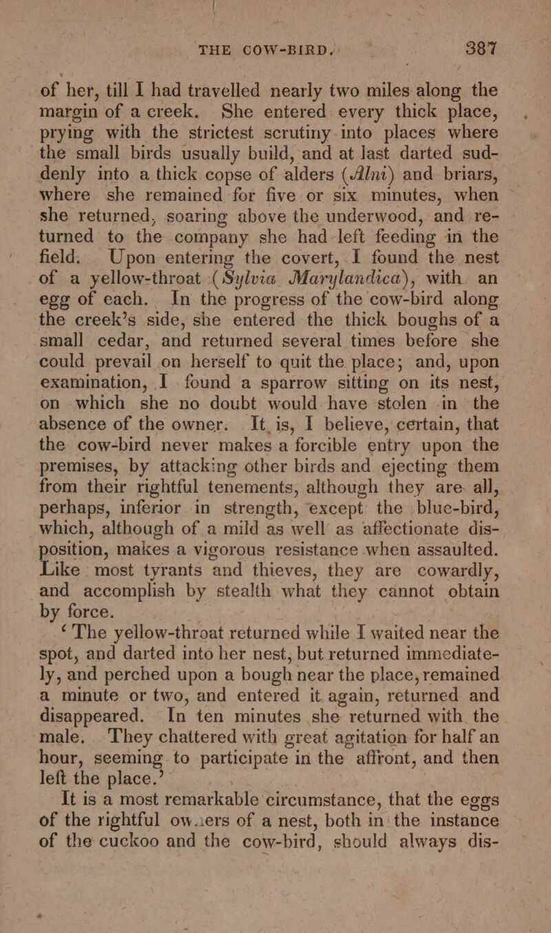 of her, till I had travelled nearly two miles along the margin of a creek. She entered every thick place, prying with the strictest scrutiny-into places where the small birds usually build, and at last darted sud- denly into a thick copse of alders (4lInt) and briars, where she remained for five or six. minutes, when she returned, soaring above the underwood, and re- turned to the company she had left feeding in the field. Upon entering the covert, I found the nest of a yellow-throat (Sylvia Marylandica), with. an egg of each. In the progress of the cow-bird along the creek’s side, she entered the thick boughs of a small cedar, and returned several times before she could prevail on herself to quit the place; and, upon examination, I found a sparrow sitting on its nest, on which she no doubt would have stclen in the absence of the owner: It,is, I believe, certain, that the cow-bird never makes a forcible entry upon the premises, by attacking other birds and ejecting them from their rightful tenements, although they are. all, perhaps, inferior in strength, except the \blue-bird, which, although of a mild as well as affectionate dis- position, makes a vigorous resistance when assaulted. Like most tyrants and thieves, they are cowardly, and accomplish by stealth what they cannot obtain by force. | ‘The yellow-throat returned while I waited near the spot, and darted into her nest, but returned immediate- ly, and perched upon a bough near the place, remained a minute or two, and entered it again, returned and disappeared. In ten minutes she returned with the male. They chattered with great agitation for half an hour, seeming to participate in the affront, and then left the place.’ | It is a most remarkable circumstance, that the eggs of the rightful ow..ers of a nest, both in' the instance of the cuckoo and the cow-bird, should always dis-