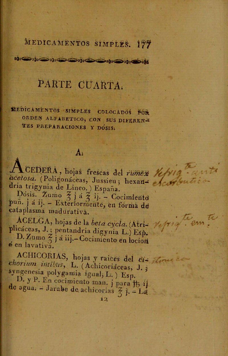 medicamentos simples, iff PARTE CÜARTÀ; ÜEbrcAMfeWTÔS SIMPLES COLOCADOS £ôft. ORDEN A LF Ali ET ICO j CON SUS DIFF.REN-3 TES PREPARACIONES Y DOSISi Ai w^^CEÎ3ERÀ , liojas frescas ciel l'itmëx acetosa. (Poligonâcèas, Jussieu; hexatl- clna trigynia de Lineo. ) EspaSa. Ddsis. Zumo J j â 3 ij. - Cocimieritd pun. ] a ij. - Exteriorrueiitc, éil forma dé eataplasma madùrativà. ACELGA, hojas de la beid cydà. (Àtri- plicaceas, J. ; pentandria digynia L.) Esj>. U. Zumo ^ j d uj.-Gociinicnto en locioii © en lavativa. }c/y/4 Tk ■ y j ir> y . ■&*v*. ACHICORIAS, hojas y raifces de! cï- thorium intibhSy L. ( Achicoria'ceas, J. ; syngenesia polygamie igual, L. ) Esp. .y n cocimicnto inan. i para tfc il de agua. - Jarabe de, achicorias ? j. - A * l4r***'