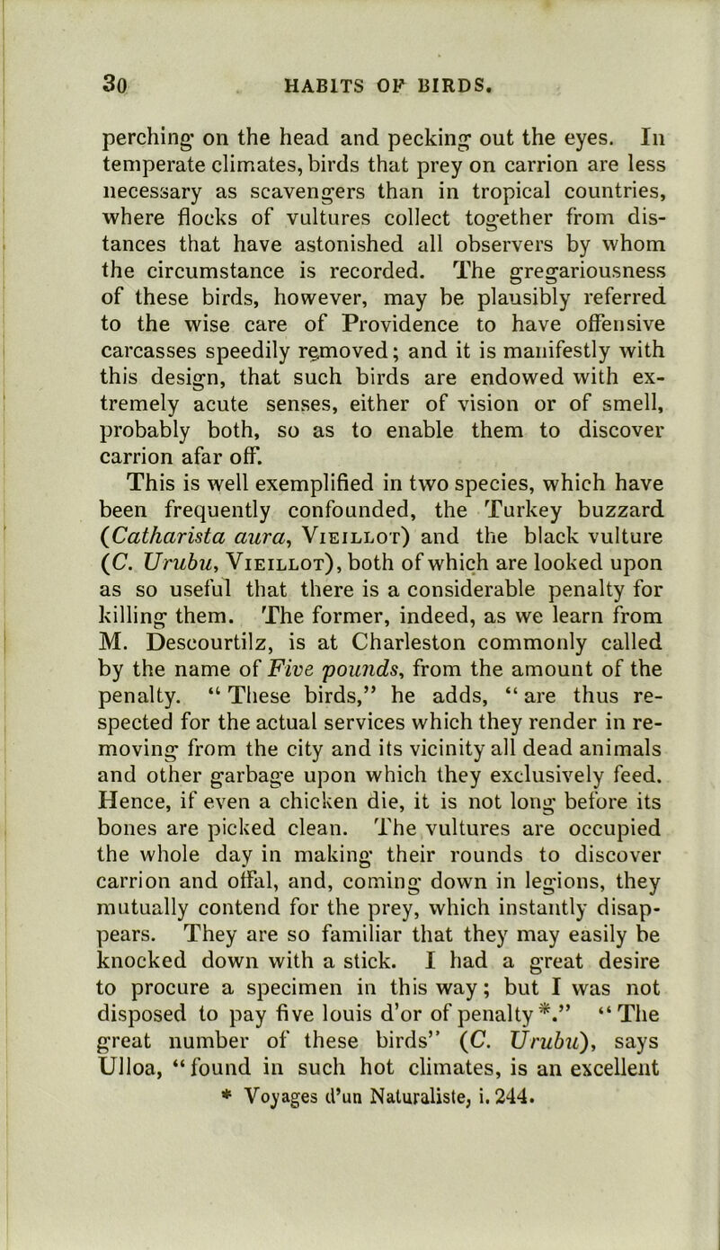 perching* on the head and pecking out the eyes. In temperate climates, birds that prey on carrion are less necessary as scavengers than in tropical countries, where flocks of vultures collect together from dis- tances that have astonished all observers by whom the circumstance is recorded. The gregariousness of these birds, however, may be plausibly referred to the wise care of Providence to have offensive carcasses speedily removed; and it is manifestly with this design, that such birds are endowed with ex- tremely acute senses, either of vision or of smell, probably both, so as to enable them to discover carrion afar off. This is well exemplified in two species, which have been frequently confounded, the Turkey buzzard {Catharista aura^ Vieillot) and the black vulture (C. Urubu, Vieillot), both of which are looked upon as so useful that there is a considerable penalty for killing them. The former, indeed, as we learn from M. Descourtilz, is at Charleston commonly called by the name of Five 'pounds^ from the amount of the penalty. “ These birds,” he adds, “ are thus re- spected for the actual services which they render in re- moving from the city and its vicinity all dead animals and other garbage upon which they exclusively feed. Hence, if even a chicken die, it is not long before its bones are picked clean. The vultures are occupied the whole day in making their rounds to discover carrion and offal, and, coming down in legions, they mutually contend for the prey, which instantly disap- pears. They are so familiar that they may easily be knocked down with a stick. I had a great desire to procure a specimen in this way; but I was not disposed to pay five louis d’or of penalty*.” “The great number of these birds” (C. Urubu'), says Ulloa, “found in such hot climates, is an excellent * Voyages d’ua Naturaliste, i. 244.