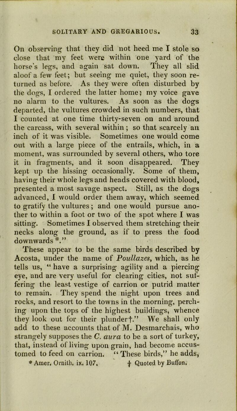 On observing that they did not heed me I stole so close that my feet were within one yard of the horse’s legs, and again sat down. They all slid aloof a few feet; but seeing me quiet, they soon re- turned as before. As they were often disturbed by the dogs, I ordered the latter home; my voice gave no alarm to the vultures. As soon as the dogs departed, the vultures crowded in such numbers, that I counted at one time thirty-seven on and around the carcass, with several within; so that scarcely an inch of it was visible. Sometimes one would come out with a large piece of the entrails, which, in a moment, was surrounded by several others, who tore it in fragments, and it soon disappeared. They kept up the hissing occasionally. Some of them, having their whole legs and heads covered with blood, presented a most savage aspect. Still, as the dogs advanced, I would order them away, which seemed to gratify the vultures; and one would pursue ano- ther to within a foot or two of the spot where I was sitting. Sometimes I observed them stretching their necks along the ground, as if to press the food downwards These appear to be the same birds described by Acosta, under the name of Poullazes, which, as he tells us, “ have a surprising agility and a piercing eye, and are very useful for clearing cities, not suf- fering the least vestige of carrion or putrid matter to remain. They spend the night upon trees and rocks, and resort to the towns in the morning, perch- ing upon the tops of the highest buildings, whence they look out for their plundert.” We shall only add to these accounts that of M. Desmarchais, who strangely supposes the C. aura to be a sort of turkey, that, instead of living upon grain, had become accus- tomed to feed on carrion. “ These birds,” he adds, ♦ Amer, Ornith. ix. 107, f Quoted by Buffon,