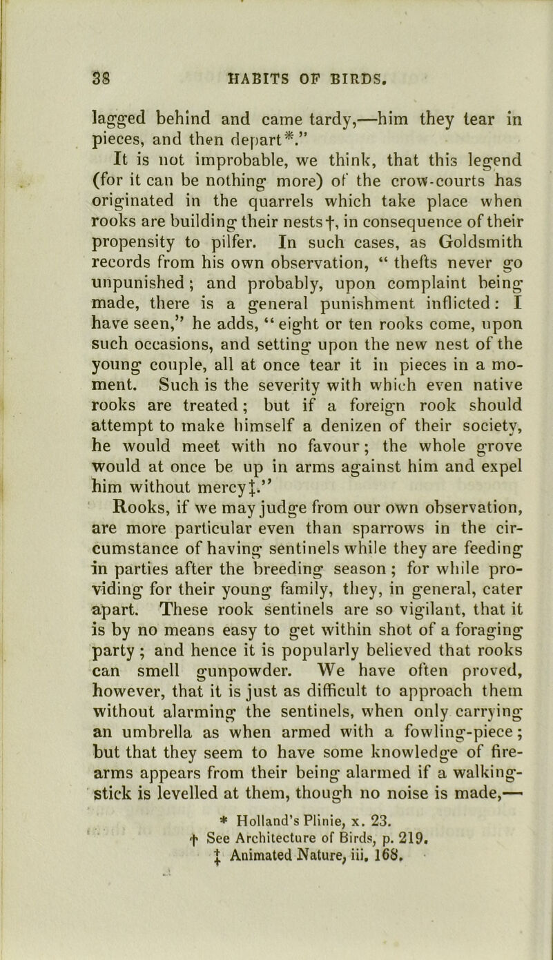 lag;ged behind and came tardy,—him they tear in pieces, and then depart*.” It is not improbable, we think, that this legend (for it can be nothing more) of the crow-courts has originated in the quarrels which take place when rooks are building their nests f, in consequence of their propensity to pilfer. In such cases, as Goldsmith records from his own observation, “ thefts never go unpunished; and probably, upon complaint being made, there is a general punishment inflicted: I have seen,” he adds, “ eight or ten rooks come, upon such occasions, and setting upon the new nest of the young couple, all at once tear it in pieces in a mo- ment. Such is the severity with w'hich even native rooks are treated; but if a foreign rook should attempt to make himself a denizen of their society, he would meet with no favour; the whole grove would at once be up in arms against him and expel him without mercyJ.” Rooks, if w^e may judge from our own observation, are more particular even than sparrows in the cir- cumstance of having sentinels while they are feeding in parties after the breeding season; for while pro- viding for their young family, they, in general, cater apart. These rook sentinels are so vigilant, that it is by no means easy to get within shot of a foraging party ; and hence it is popularly believed that rooks can smell gunpowder. We have often proved, however, that it is just as difficult to approach them without alarming the sentinels, when only carrying an umbrella as when armed with a fowling-piece; but that they seem to have some knowledge of fire- arms appears from their being alarmed if a walking- stick is levelled at them, though no noise is made,— * Holland’s Pllnie, X. 23. <}« See Architecture of Birds, p. 219. I Animated Nature, iii. 168,