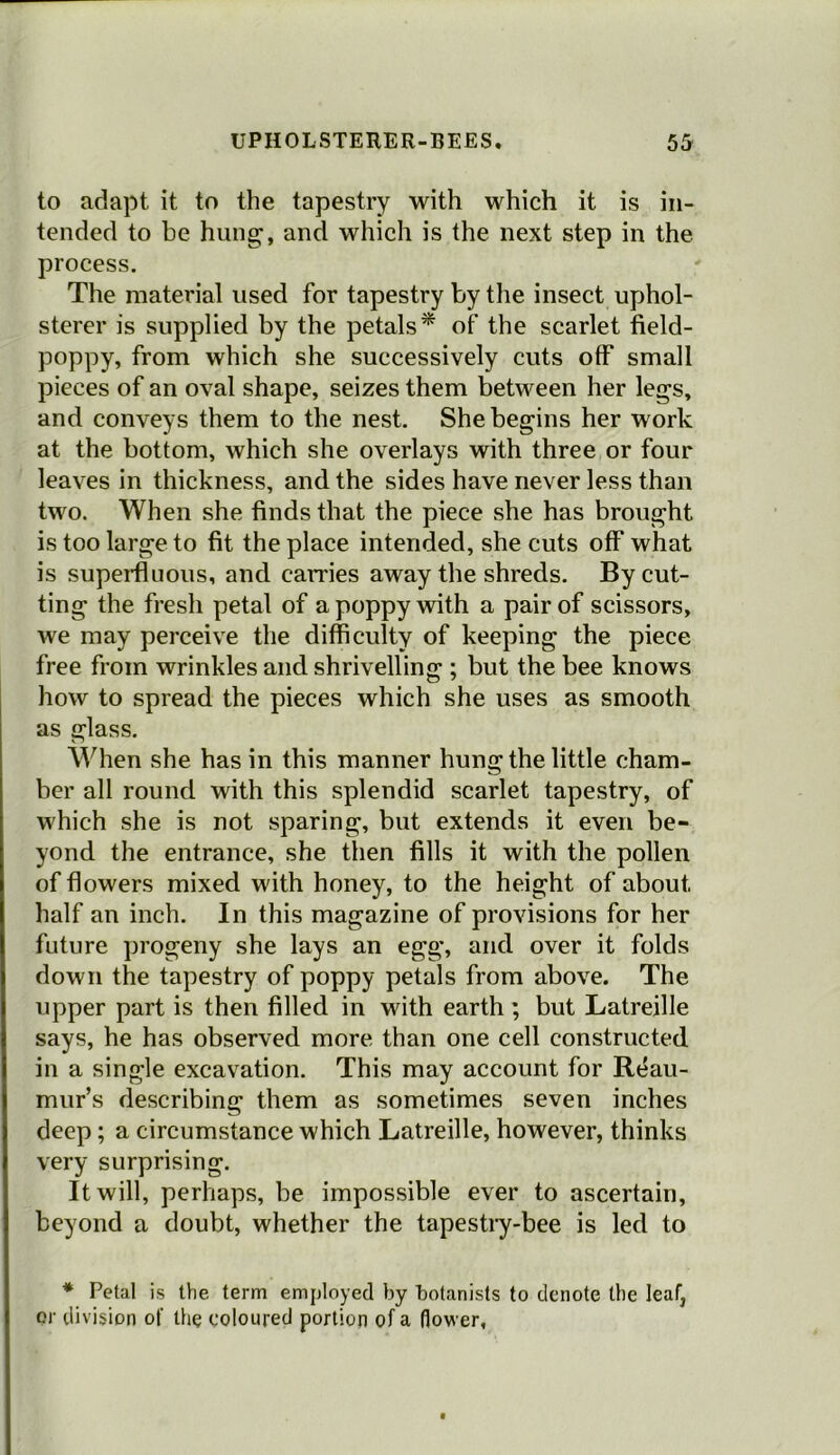 to adapt it to the tapestry with which it is in- tended to be hung, and which is the next step in the. process. The material used for tapestry by the insect uphol- sterer is supplied by the petals* of the scarlet field- poppy, from which she successively cuts off small pieces of an oval shape, seizes them between her legs, and conveys them to the nest. She begins her work at the bottom, which she overlays with three or four leaves in thickness, and the sides have never less than two. When she finds that the piece she has brought is too large to fit the place intended, she cuts off what is superfluous, and carries away the shreds. By cut- ting the fresh petal of a poppy with a pair of scissors, we may perceive the difficulty of keeping the piece free from wrinkles and shrivelling ; but the bee knows how to spread the pieces which she uses as smooth as glass. When she has in this manner hung the little cham- ber all round with this splendid scarlet tapestry, of which she is not sparing, but extends it even be- yond the entrance, she then fills it with the pollen of flowers mixed with honey, to the height of about half an inch. In this magazine of provisions for her future progeny she lays an egg, and over it folds down the tapestry of poppy petals from above. The upper part is then filled in with earth ; but Latreille says, he has observed more than one cell constructed in a single excavation. This may account for Reau- mur’s describing them as sometimes seven inches deep; a circumstance which Latreille, however, thinks very surprising. It will, perhaps, be impossible ever to ascertain, beyond a doubt, whether the tapestry-bee is led to * Petal is the term employed by botanists to denote the leaf, or division of the coloured portion of a flower,