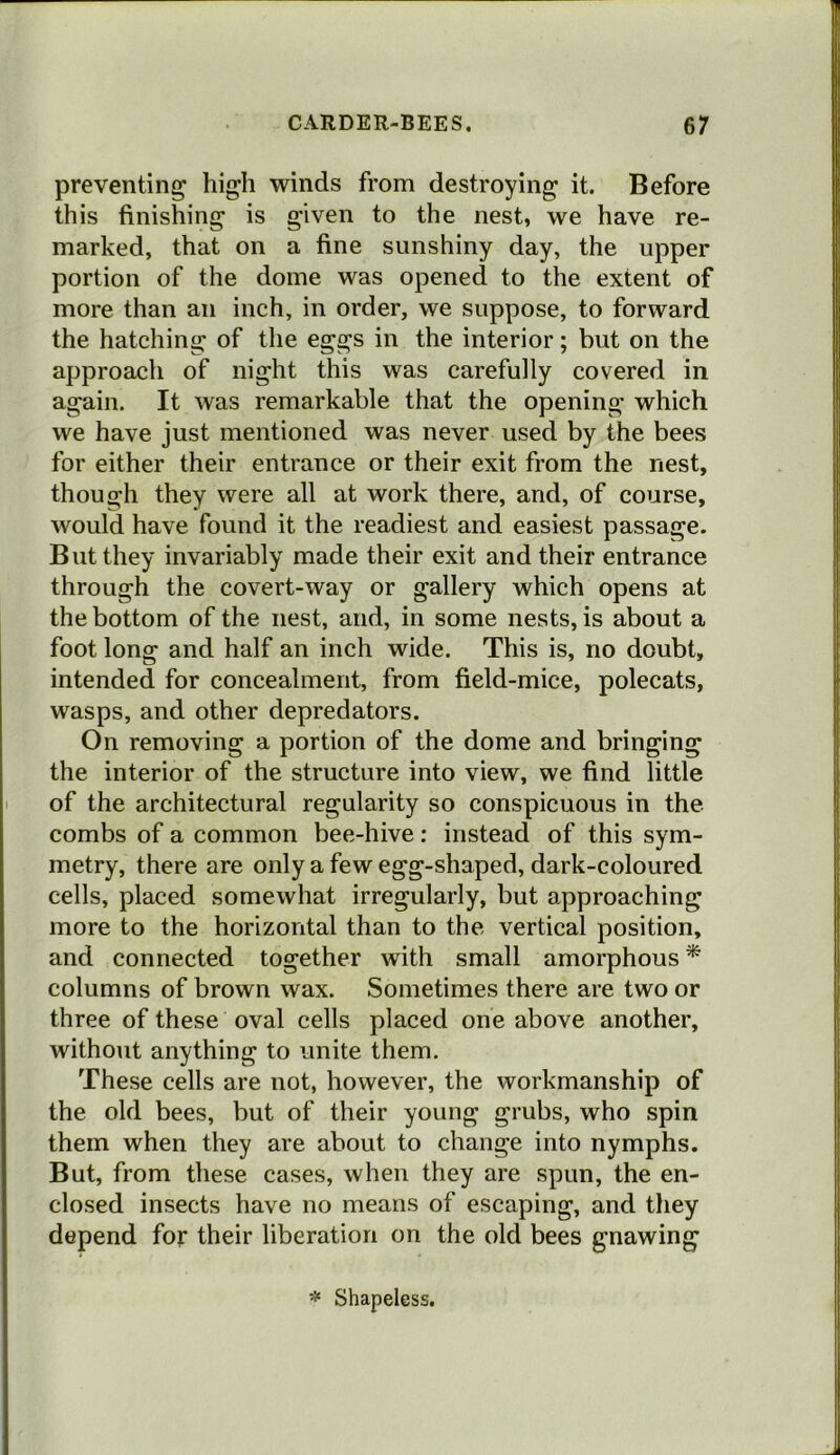 preventing high winds from destroying it. Before this finishing is given to the nest, we have re- marked, that on a fine sunshiny day, the upper portion of the dome was opened to the extent of more than an inch, in order, we suppose, to forward the hatching of the eggs in the interior; but on the approach of night this was carefully covered in again. It was remarkable that the opening which we have just mentioned was never used by the bees for either their entrance or their exit from the nest, though they were all at work there, and, of course, would have found it the readiest and easiest passage. But they invariably made their exit and their entrance through the covert-way or gallery which opens at the bottom of the nest, and, in some nests, is about a foot long and half an inch wide. This is, no doubt, intended for concealment, from field-mice, polecats, wasps, and other depredators. On removing a portion of the dome and bringing the interior of the structure into view, we find little of the architectural regularity so conspicuous in the combs of a common bee-hive: instead of this sym- metry, there are only a few egg-shaped, dark-coloured cells, placed somewhat irregularly, but approaching more to the horizontal than to the vertical position, and connected together with small amorphous * columns of brown wax. Sometimes there are two or three of these oval cells placed one above another, without anything to unite them. These cells are not, however, the workmanship of the old bees, but of their young grubs, who spin them when they are about to change into nymphs. But, from these cases, when they are spun, the en- closed insects have no means of escaping, and they depend for their liberation on the old bees gnawing * Shapeless.