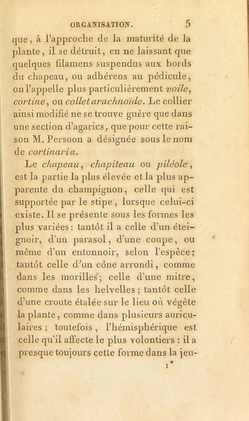 que, à l’approche de la maturité de la plante, il se détruit, en ne laissant que quelques filamens suspendus aux bords du chapeau, ou adliérens au pédicule, on l’appelle plus particulièrement voile, cortine, ou collet arachnoïde. Le collier ainsi modifié ne se trouve guère que dans une section d’agarics, que pour cette rai- son M. Persoon a désignée sous le nom de corlinaria. Le chapeau, chapiteau ou piléole, est la partie la plus élevée et la plus ap- parente du champignon, celle qui est supportée par le stipe , lorsque celui-ci existe. 11 se présente sous les formes les plus variées: tantôt il a celle d’un étei- grioir, d’un parasol, d’une coupe, ou même d’un entonnoir, selon l’espèce; tantôt celle d’un cône arrondi, comme dans les morilles; celle d’une mitre, comme dans les helvelles ; tantôt celle d’une croûte étalée sur le lieu où végète la plante, comme dans plusieurs auricu- laires ; toutefois, l’hémisphérique est celle qu’il affecte le plus volontiers : il a presque toujours cette forme dans la jeu-