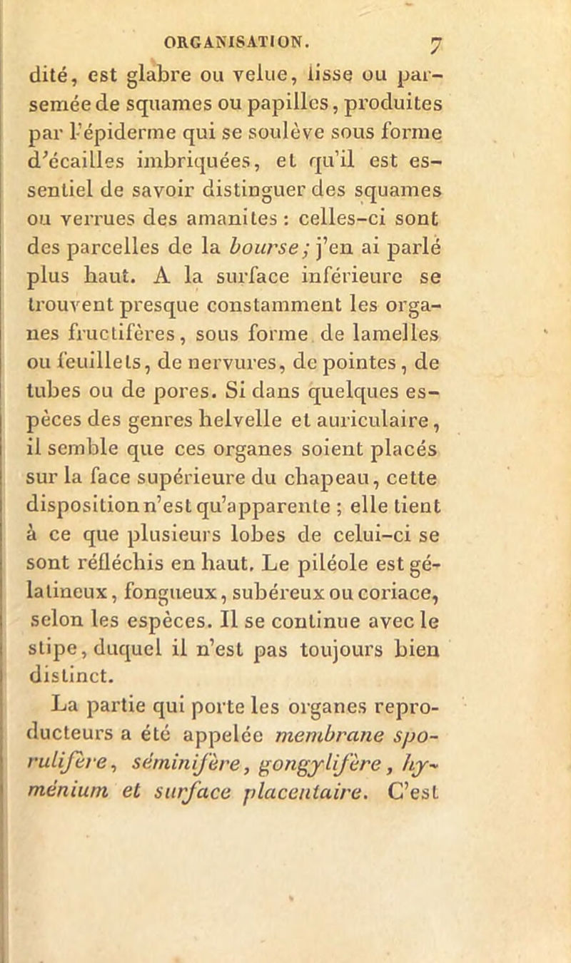 dité, est glabre ou velue, lisse ou par- semée de squames ou papilles, produites par l’épiderme qui se soulève sous forme d’écaiües imbriquées, et qu’il est es- sentiel de savoir distinguer des squames ou verrues des amanites: celles-ci sont des parcelles de la bourse ; j’en ai parlé plus baut. A la surface inférieure se trouvent presque constamment les orga- nes fructifères, sous forme de lamelles ou feuillets, de nervures, de pointes, de tubes ou de pores. Si dans quelques es- pèces des genres helvelle et auriculaire, il semble que ces organes soient placés sur la face supérieure du chapeau, celte disposition n’est qu’apparente ; elle tient à ce que plusieurs lobes de celui-ci se sont réfléchis en haut. Le piléole est gé- latineux, fongueux, subéreux ou coriace, selon les espèces. Il se continue avec le stipe, duquel il n’est pas toujours bien distinct. La partie qui porte les organes repro- ducteurs a été appelée membrane s/jo- rulijere, sëminifère, gongylifère, hy- ménium et surface placentaire. C’est