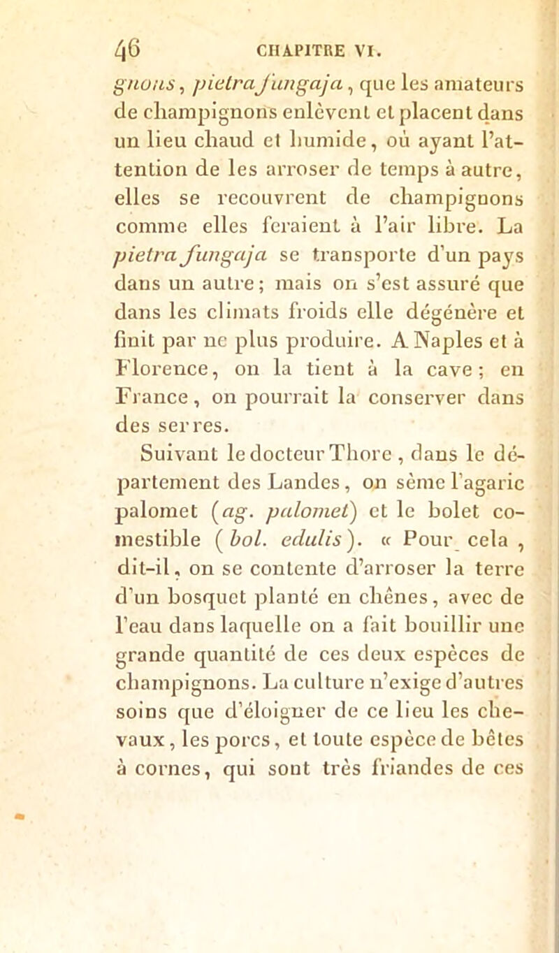 gnous, pic IraJ'ungaja, que les amateurs de champignons enlèvent et placent dans un lieu chaud et humide, où ayant l’at- tention de les arroser de temps à autre, elles se recouvrent de champignons comme elles feraient à l’air libre. La pietra J'ungaja se transporte d’un pays dans un autre; mais on s’est assuré que dans les climats froids elle dégénère et finit par ne plus produire. A Naples et à Florence, on la tient à la cave; en France, on pourrait la conserver dans des serres. Suivant le docteur Thore , dans le dé- partement des Landes, on sème l’agaric palomet (ag. palomet) et le bolet co- mestible ( bol. edulis). « Pour cela , dit-il, on se contente d’arroser la terre d’un bosquet planté en chênes, avec de l’eau dans laquelle on a fait bouillir une grande quantité de ces deux espèces de champignons. La culture n’exige d’autres soins que d’éloigner de ce lieu les che- vaux , les porcs, et toute espèce de bêtes à cornes, qui sont très friandes de ces